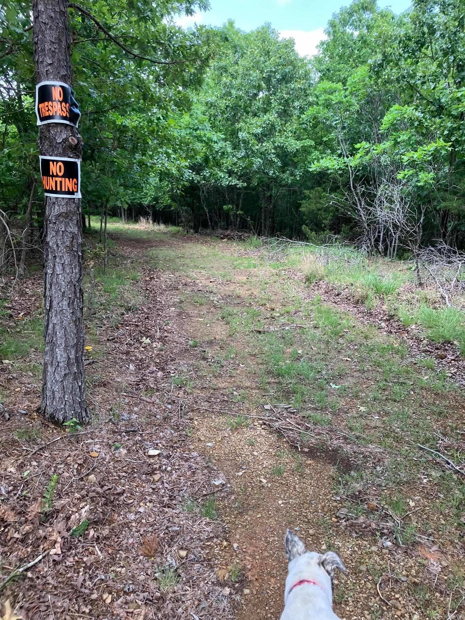 TBD Tract 4  Thompson Creek Lane  Mena, AR