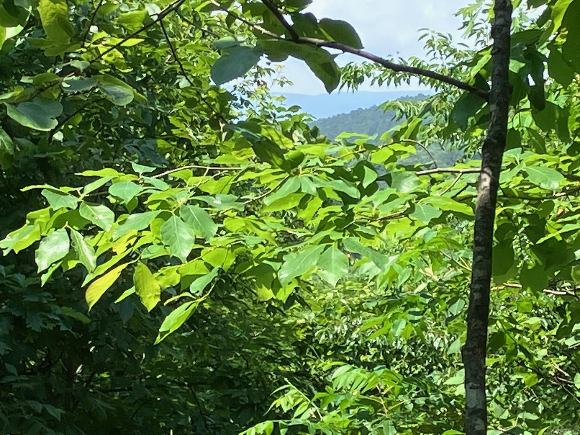 TBD Tract 5  Thompson Creek Lane  Mena, AR