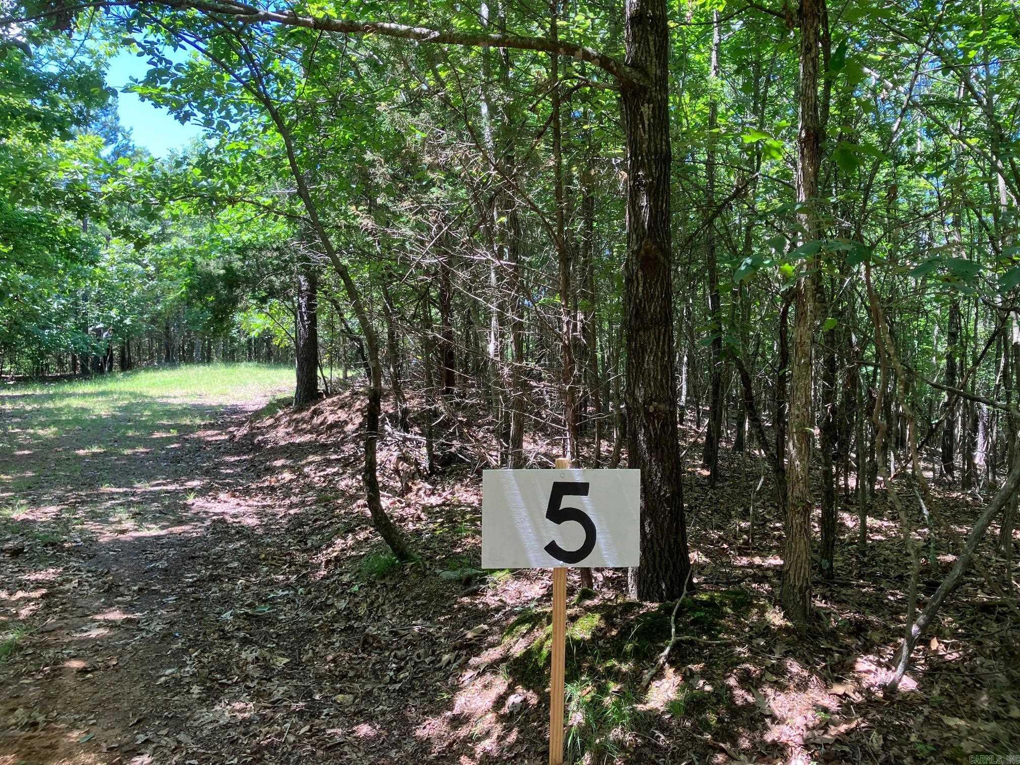 TBD Tract 5  Thompson Creek Lane  Mena, AR