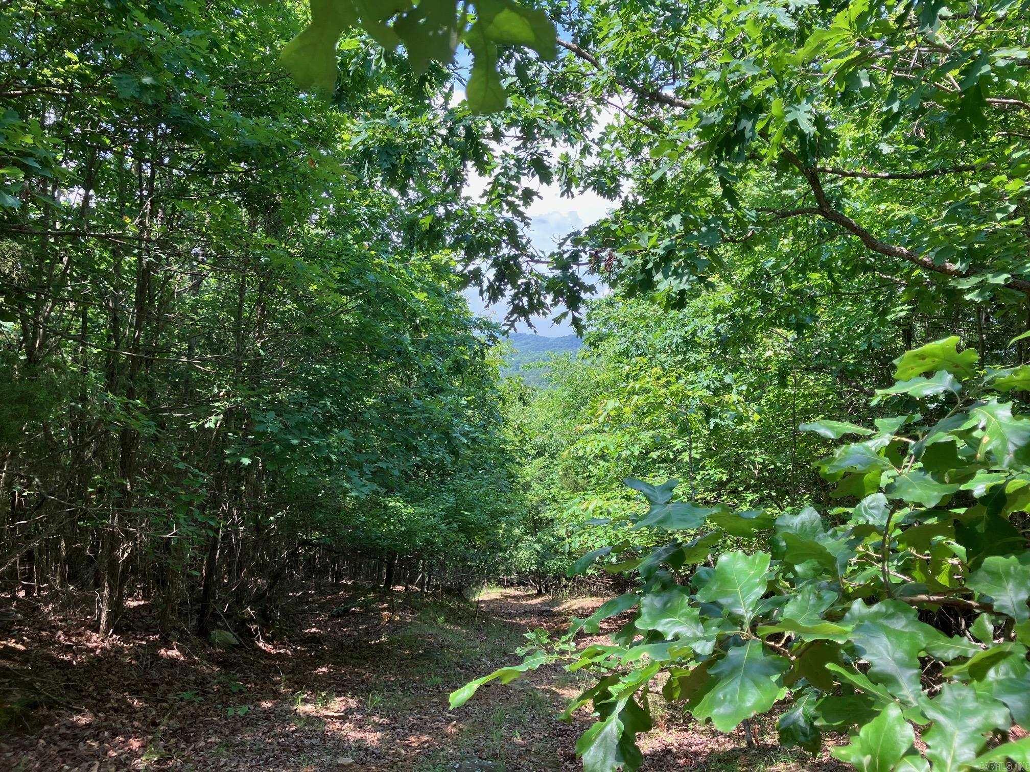 TBD  Thompson Creek Lane  Mena, AR