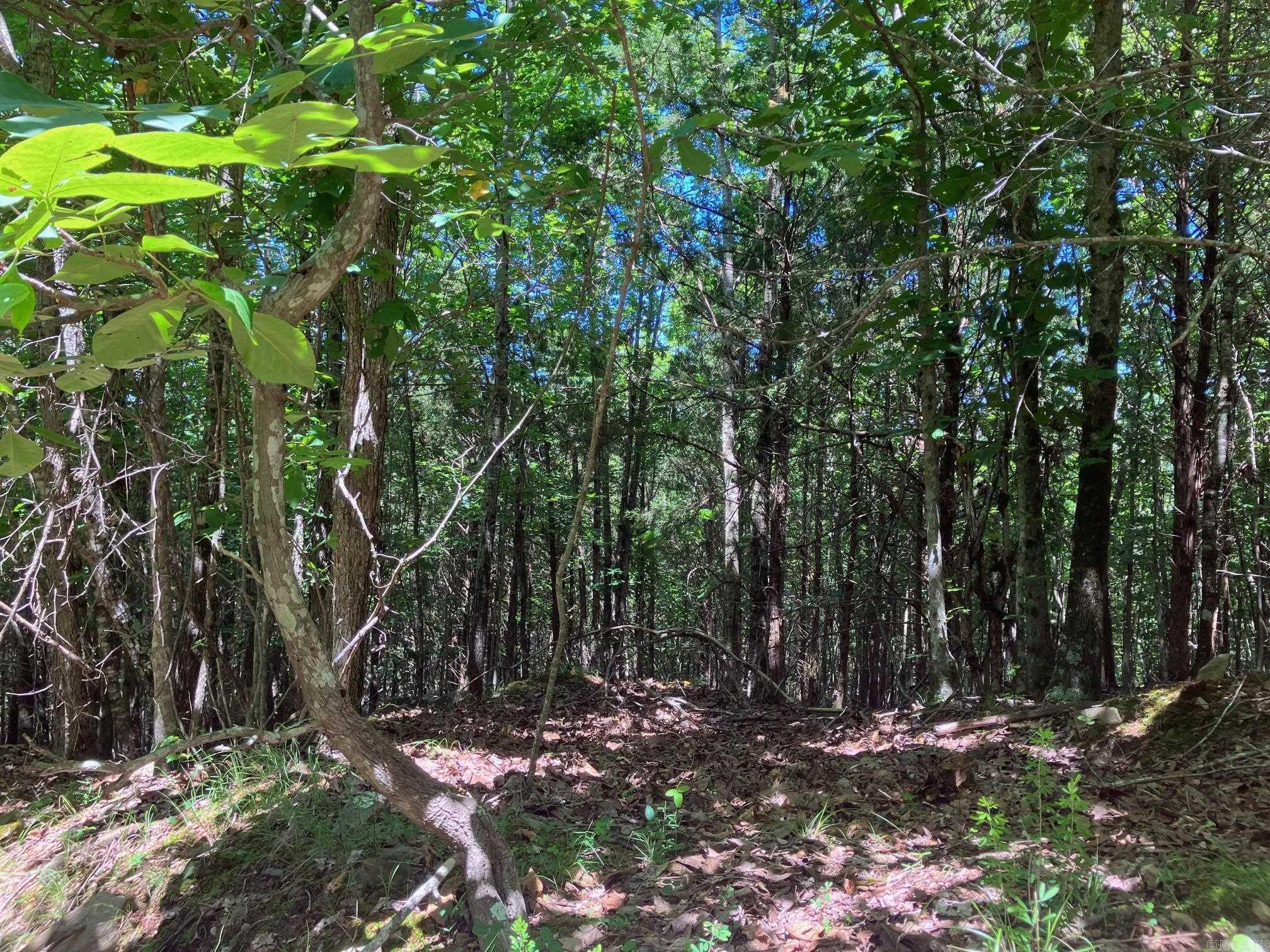 TBD Tract 5  Thompson Creek Lane  Mena, AR