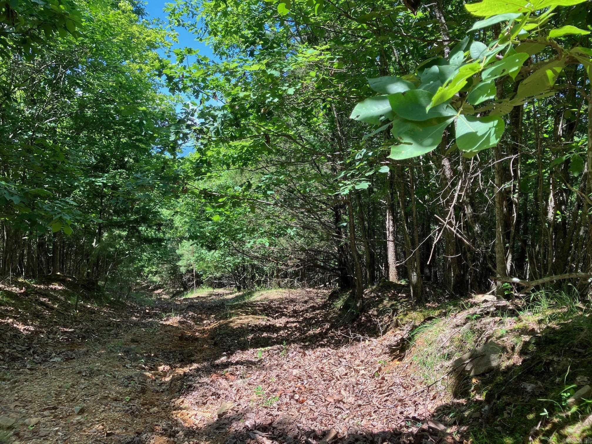 TBD Tract 5  Thompson Creek Lane  Mena, AR