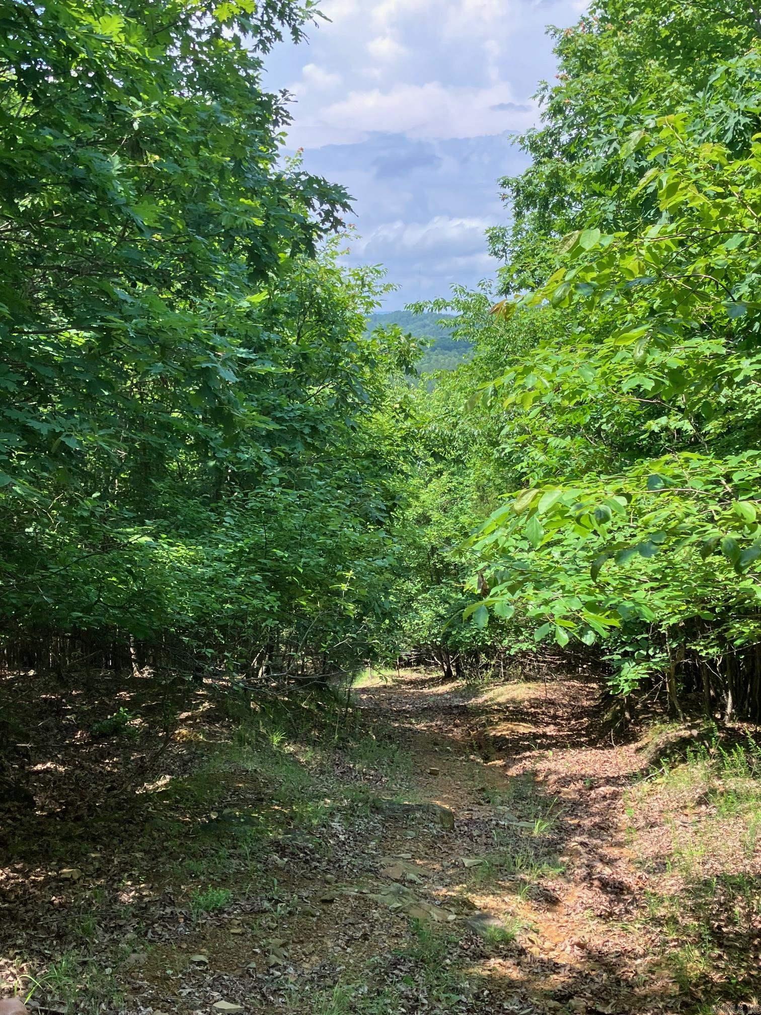 TBD  Thompson Creek Lane  Mena, AR