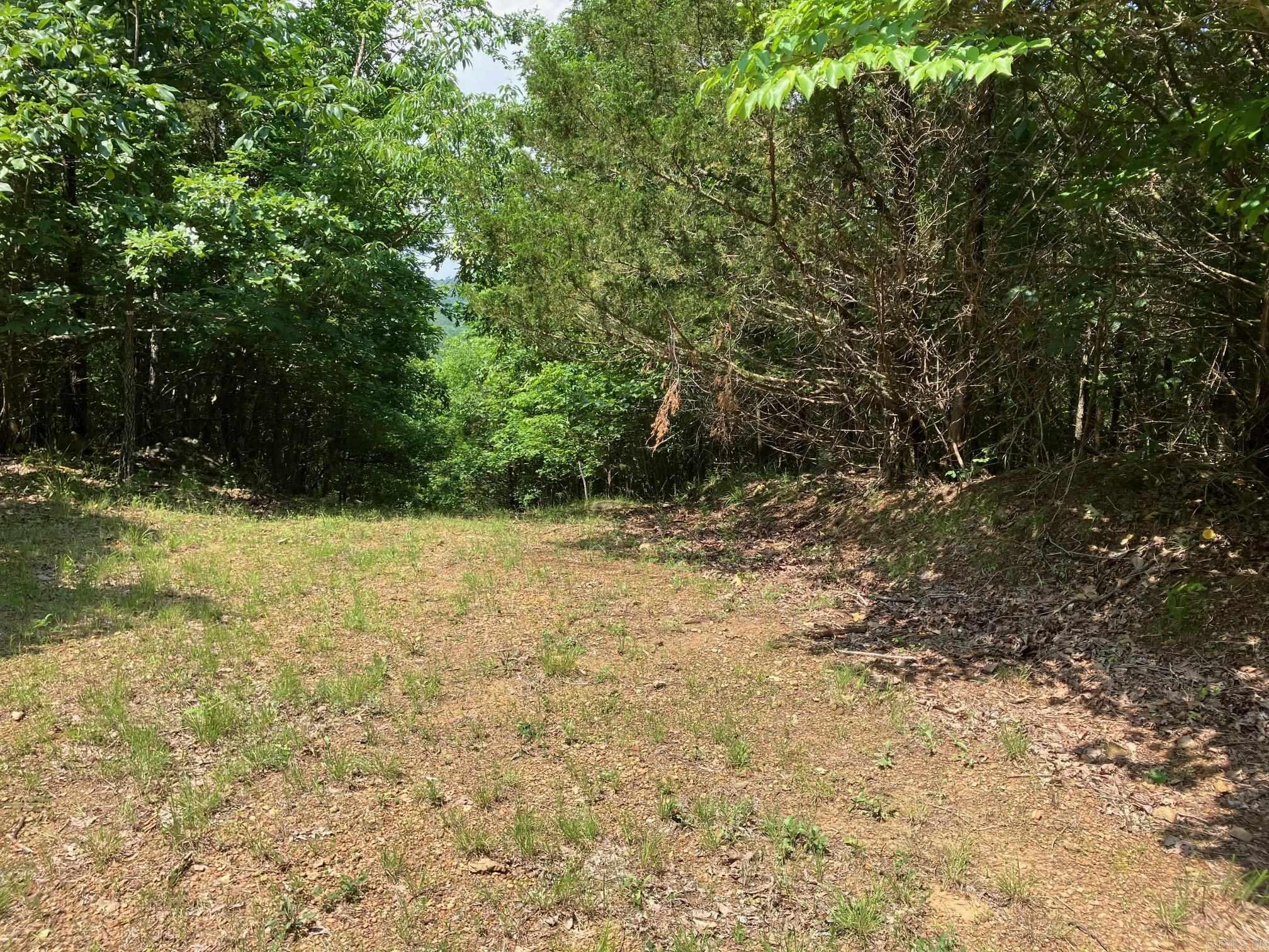 TBD  Thompson Creek Lane  Mena, AR