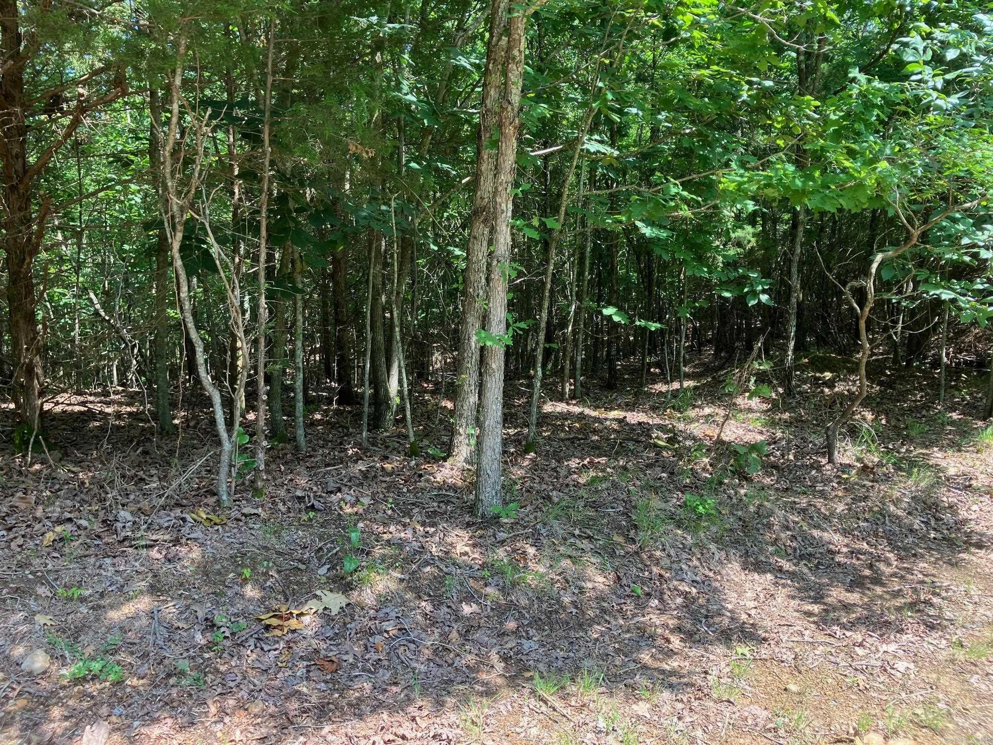 TBD  Thompson Creek Lane  Mena, AR