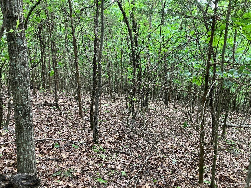 TBD  Thompson Creek Lane  Mena, AR