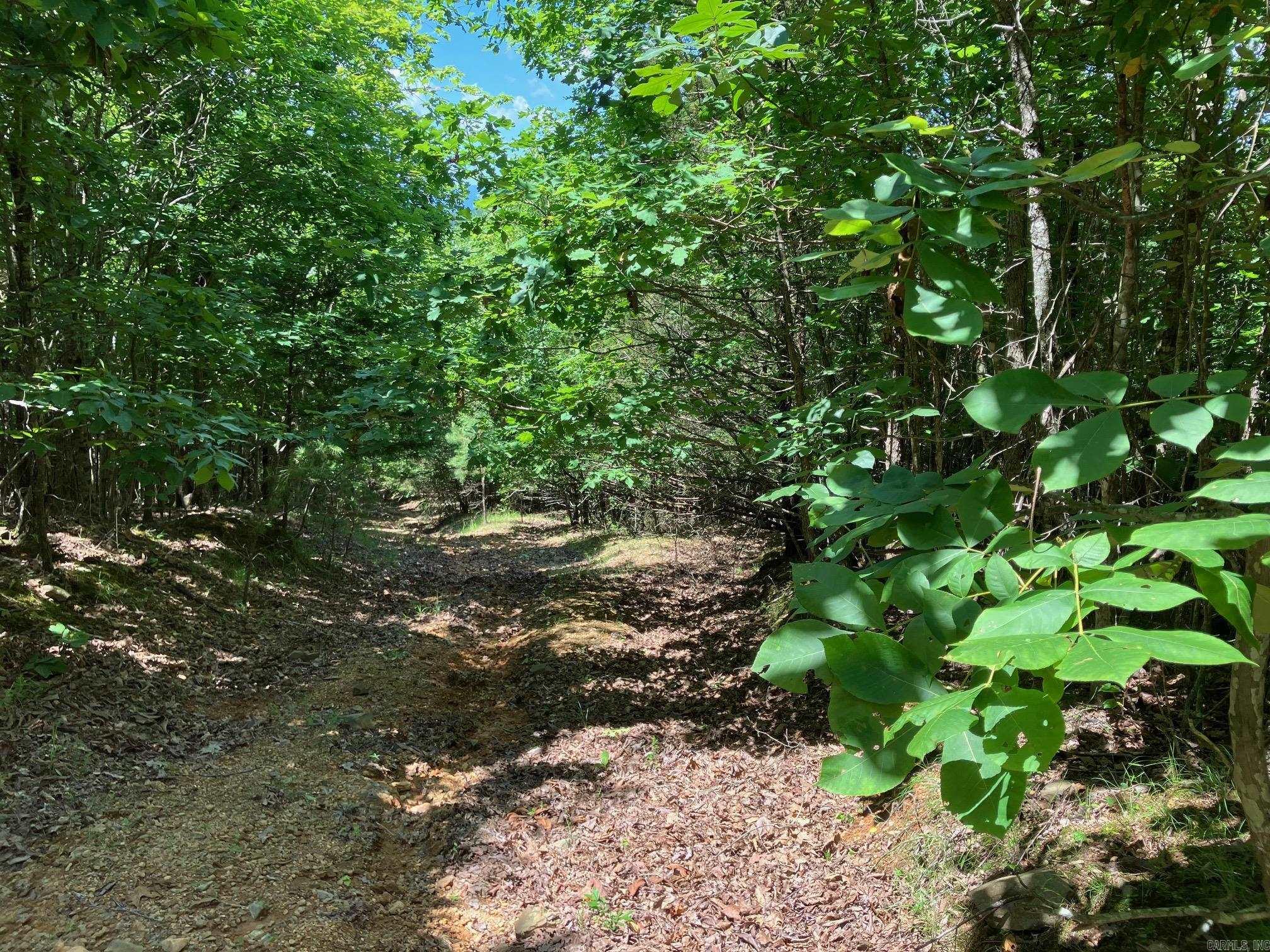 TBD Tract 5  Thompson Creek Lane  Mena, AR