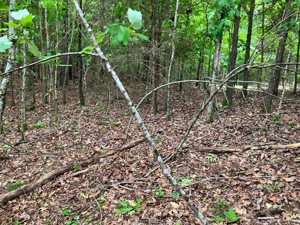 TBD  Thompson Creek Lane  Mena, AR
