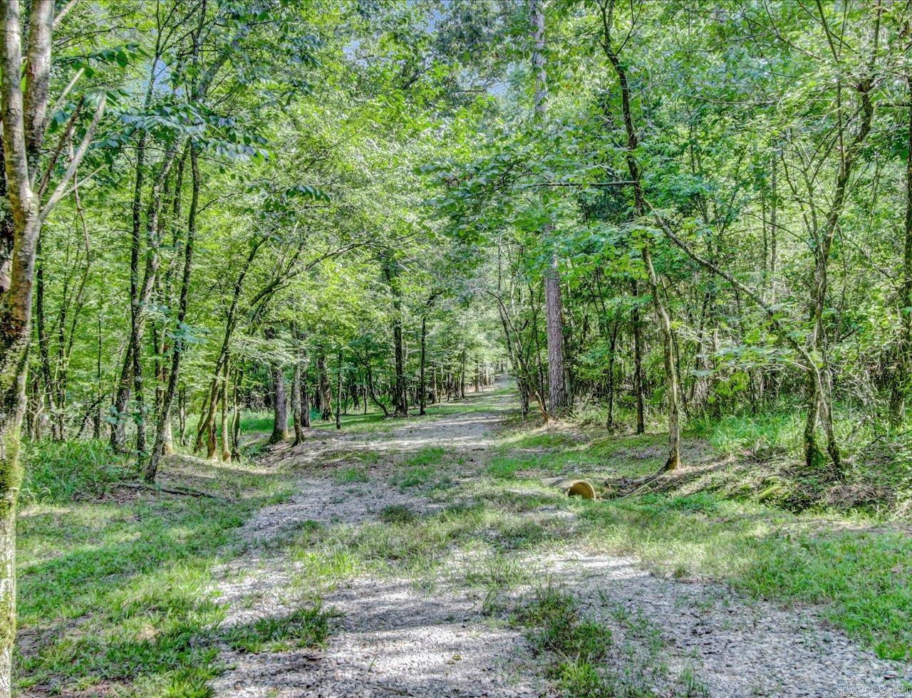 12433  Raindrop  Little Rock, AR