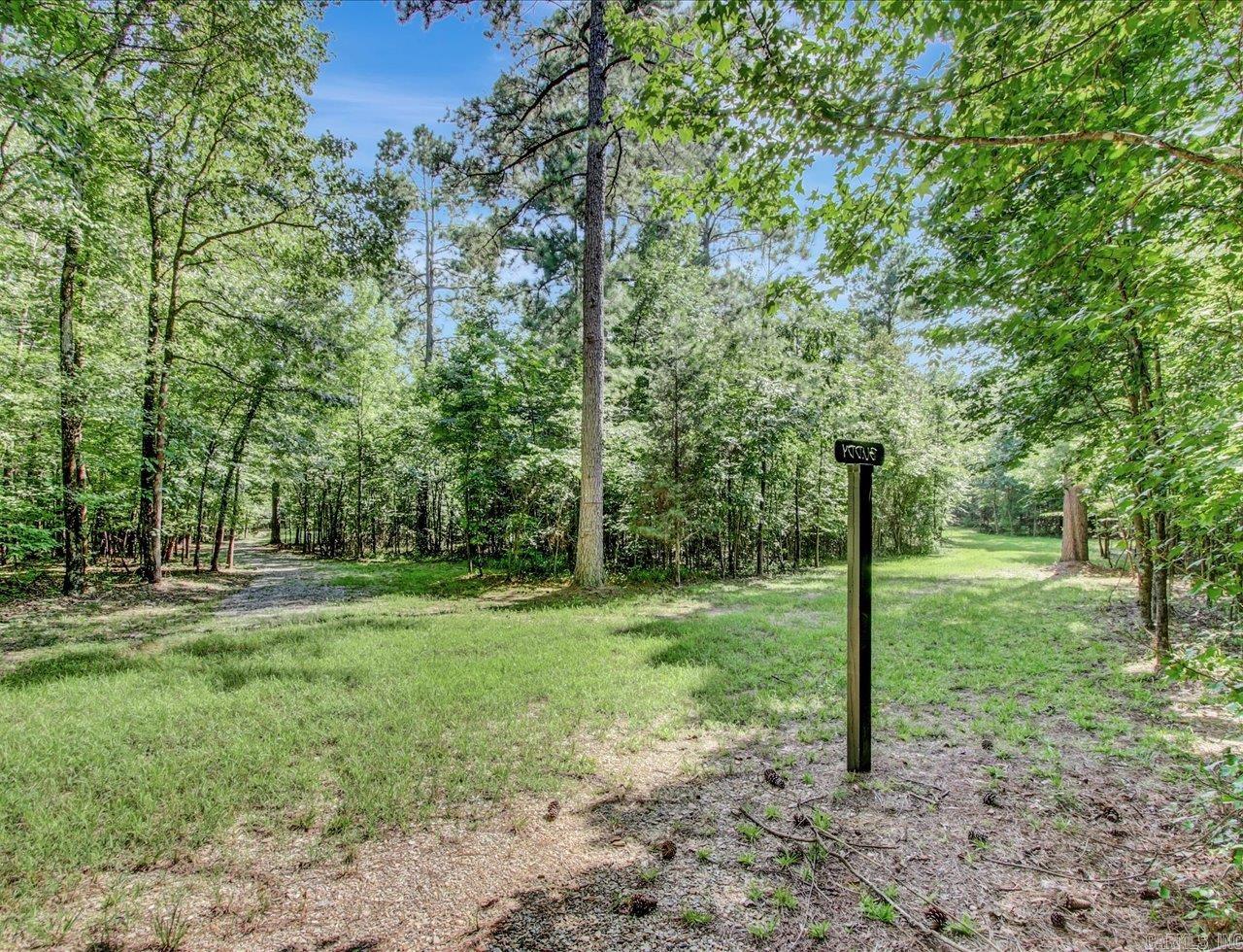 12433  Raindrop  Little Rock, AR