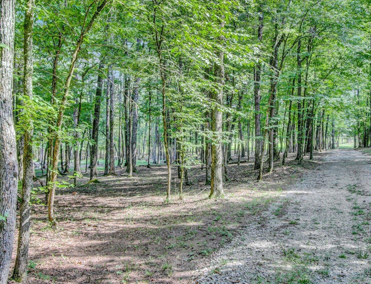 12433  Raindrop  Little Rock, AR