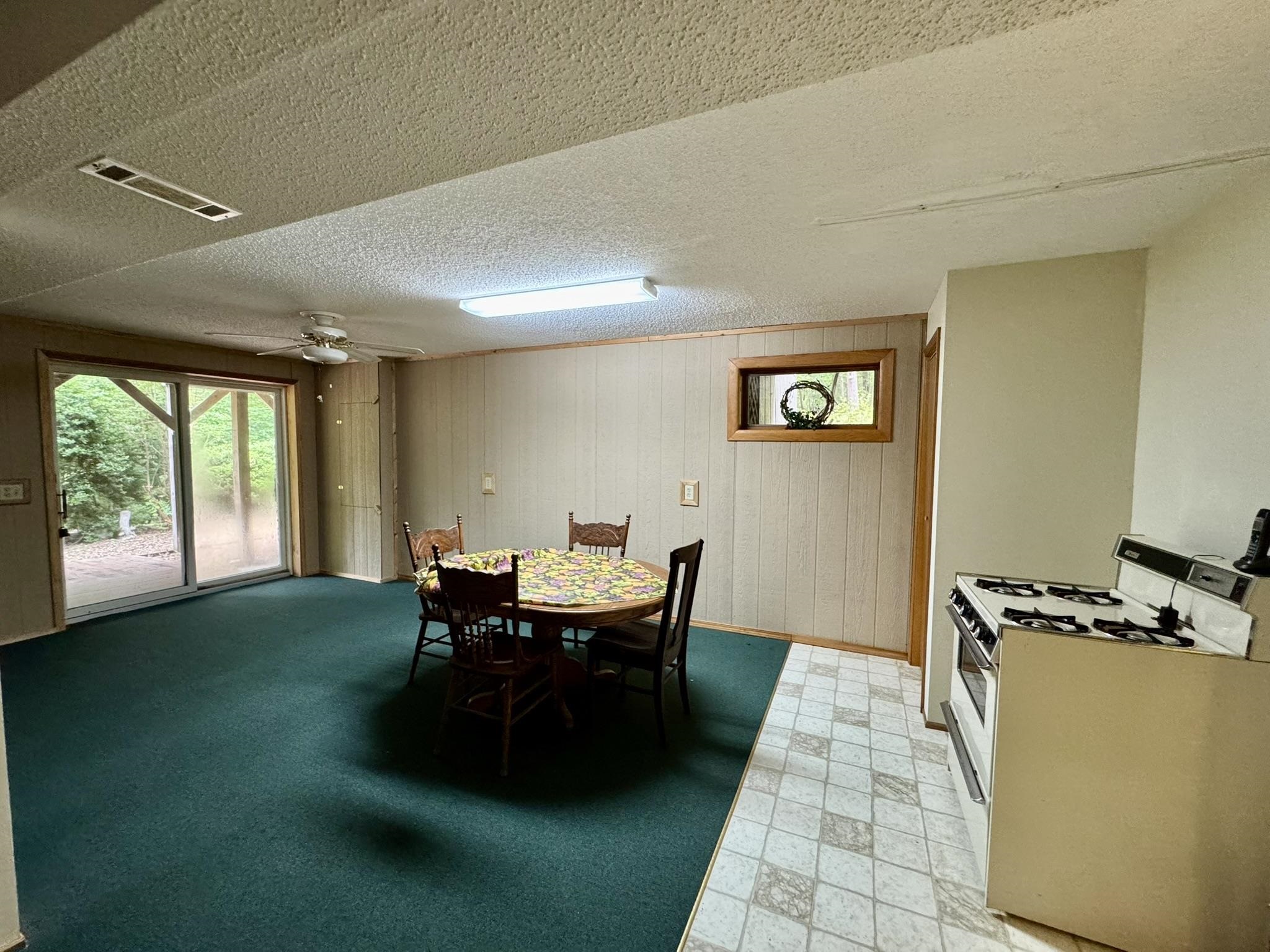 303  Bluffs Drive  Mountain View, AR