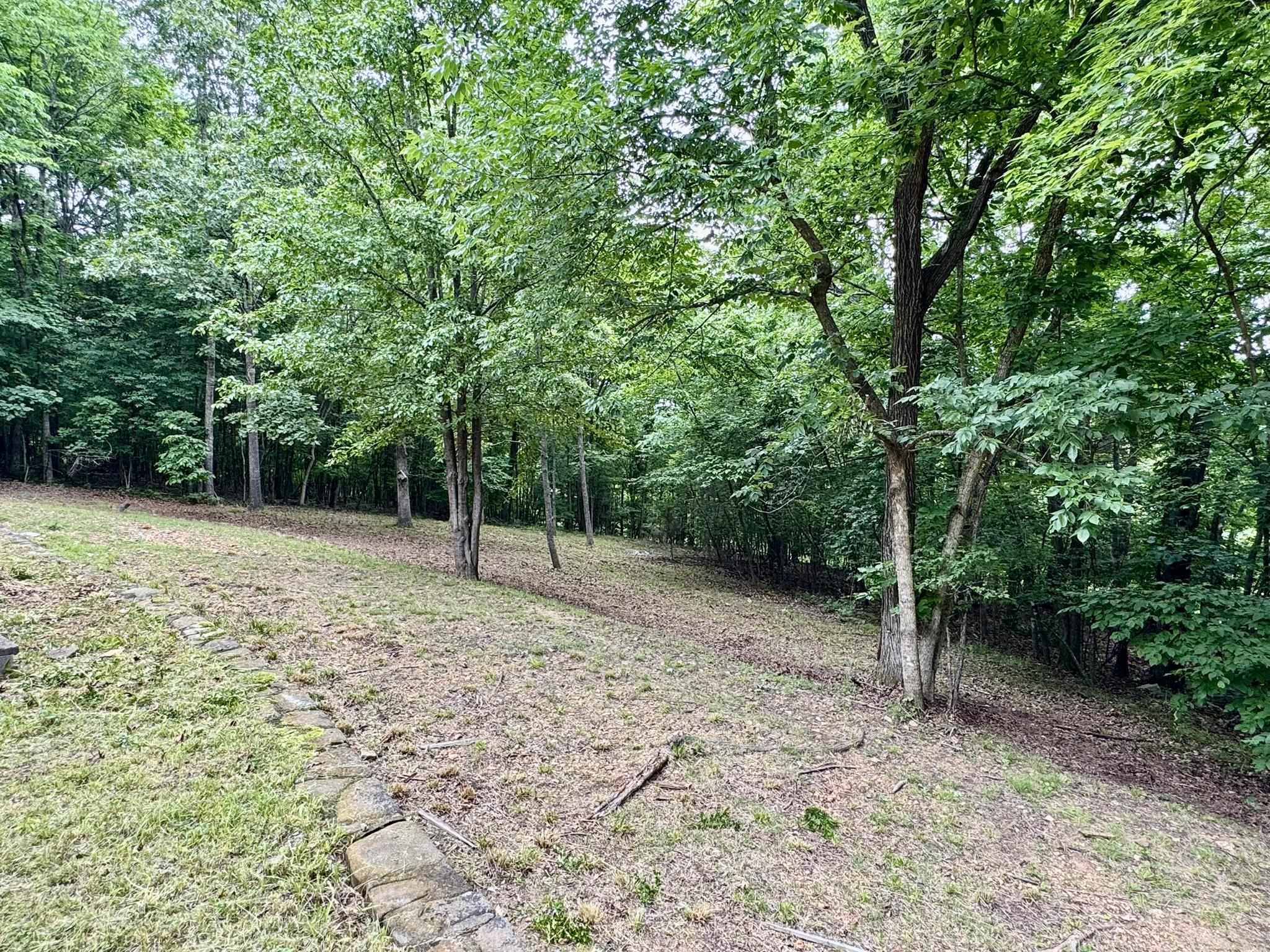 303  Bluffs Drive  Mountain View, AR
