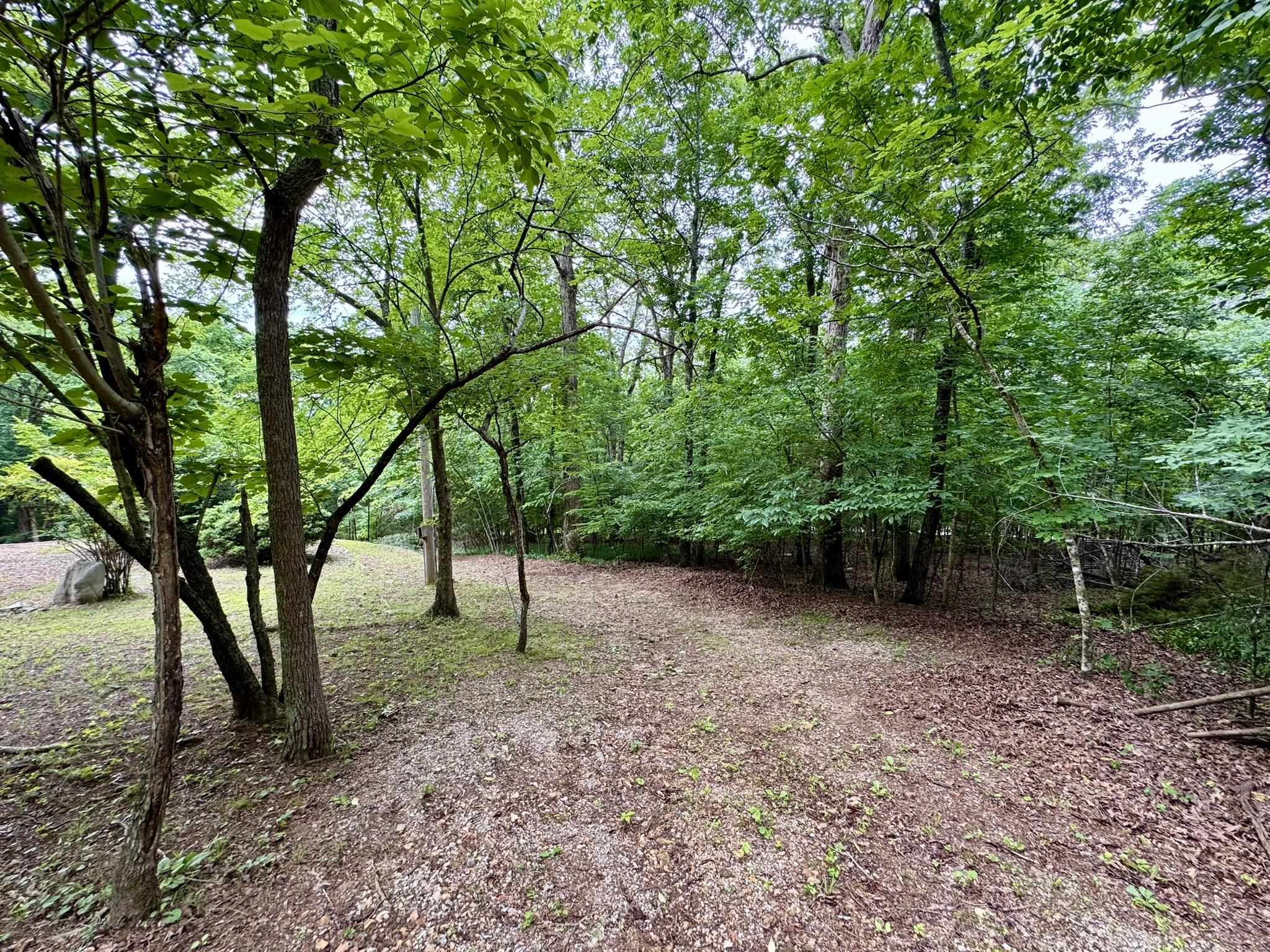 303  Bluffs Drive  Mountain View, AR