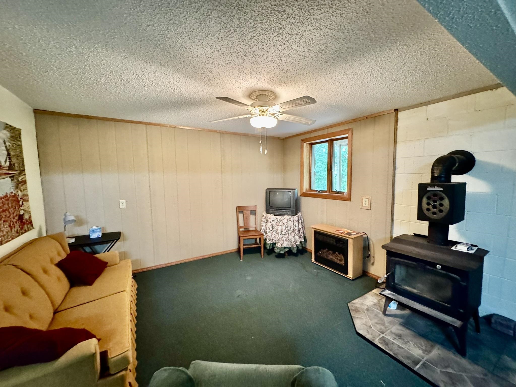 303  Bluffs Drive  Mountain View, AR