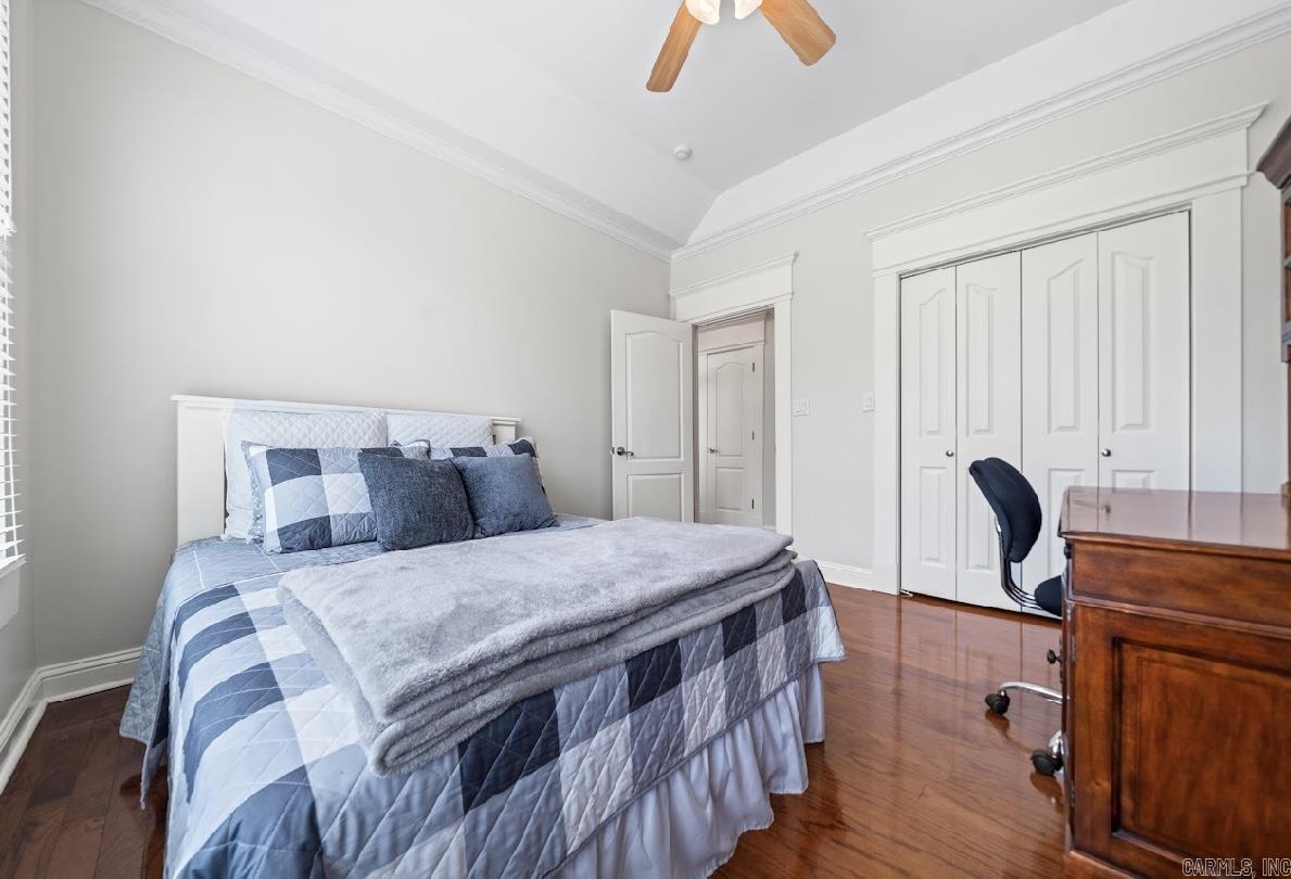 123  Setter  Hot Springs, AR