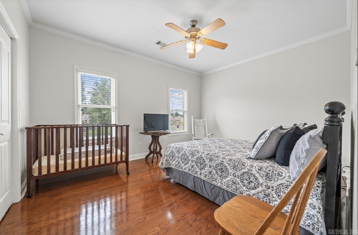 123  Setter  Hot Springs, AR