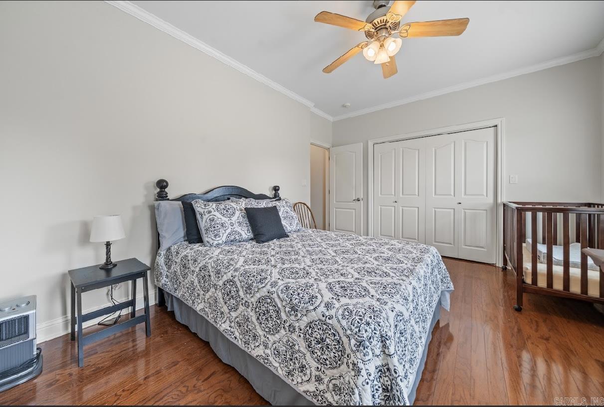 123  Setter  Hot Springs, AR