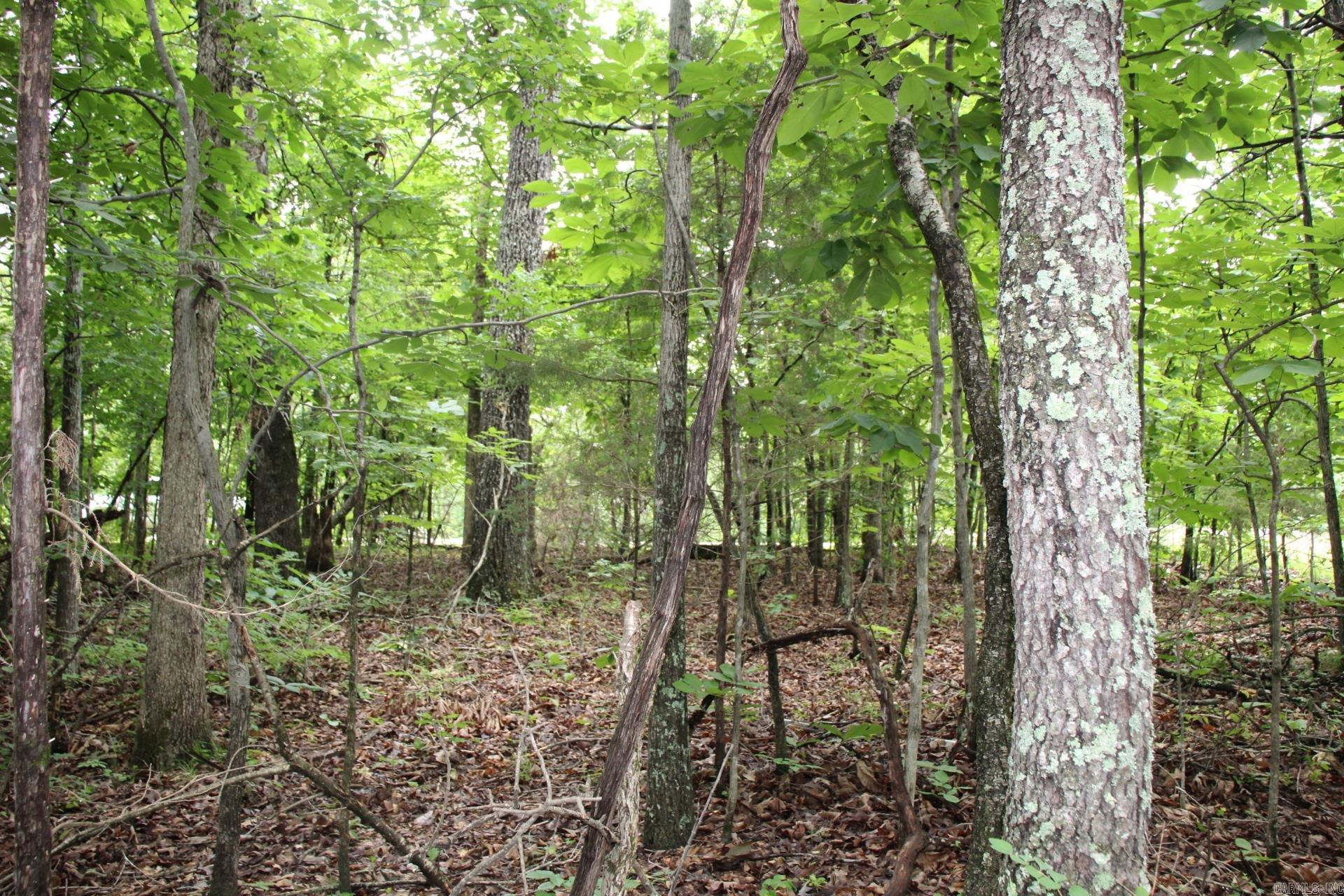 001-09520-000  Hwy 178  Lakeview, AR