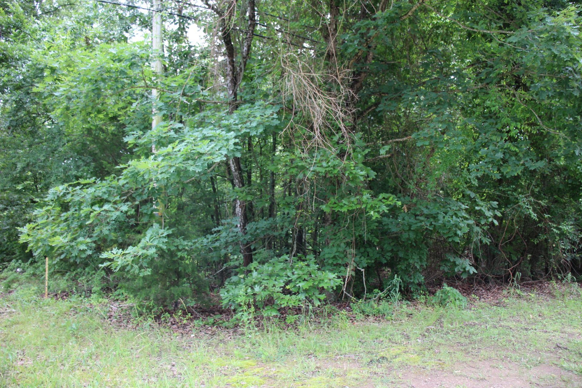 001-09520-000  Hwy 178  Lakeview, AR