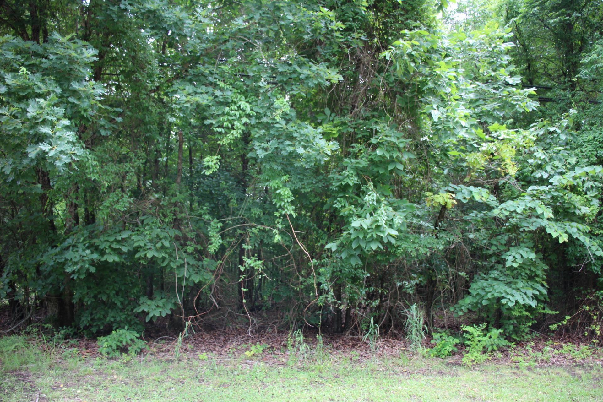 001-09520-000  Hwy 178  Lakeview, AR