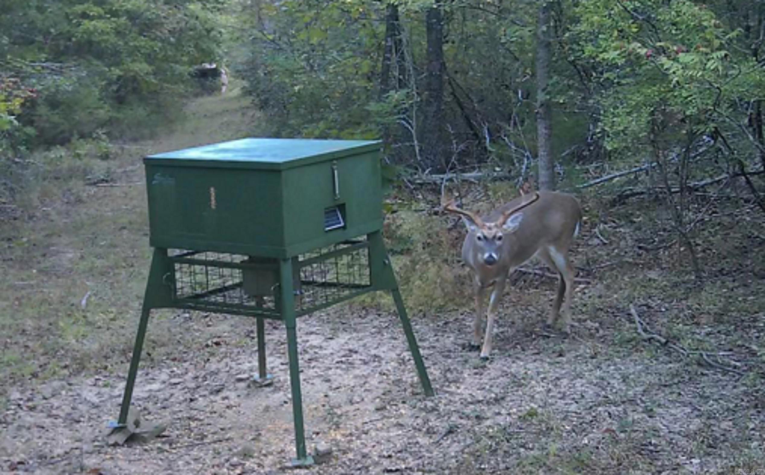 623 Batesville Mountain  Damascus, AR