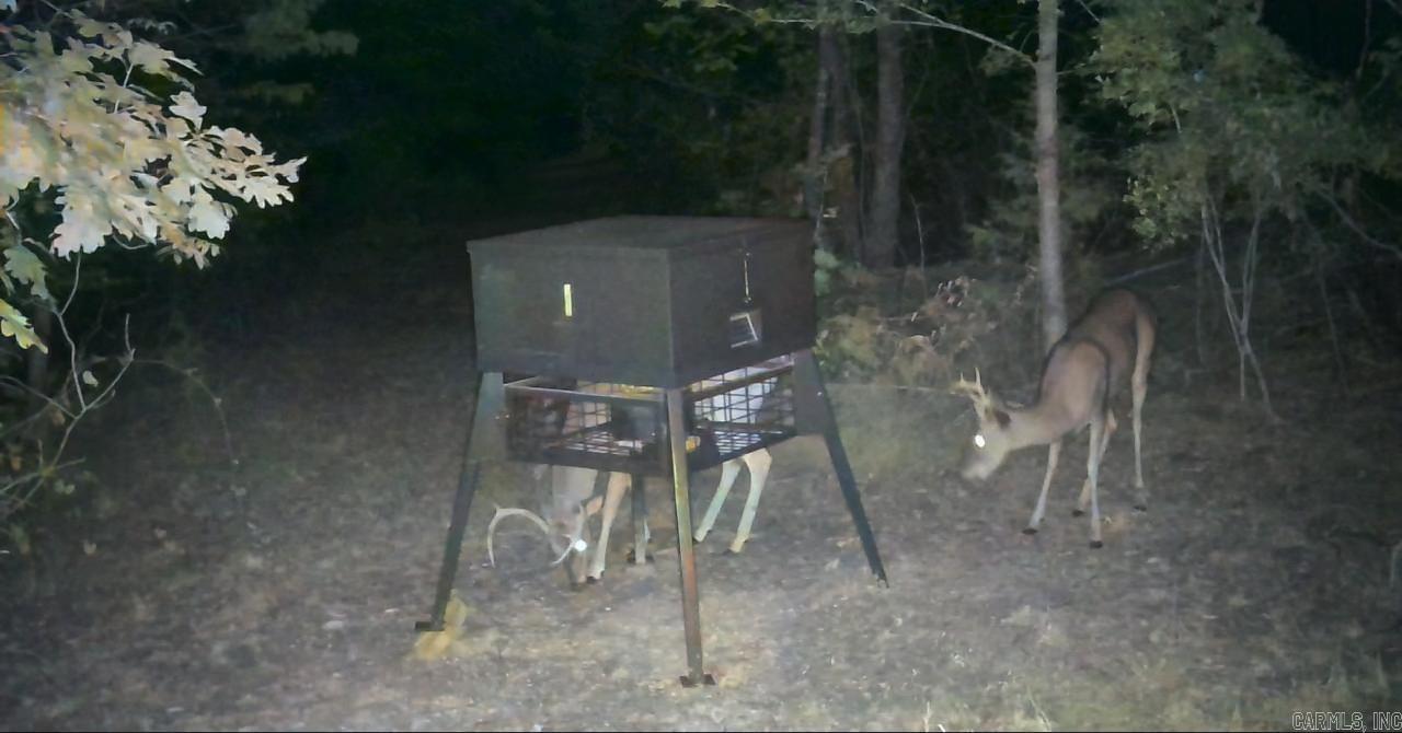 623 Batesville Mountain  Damascus, AR