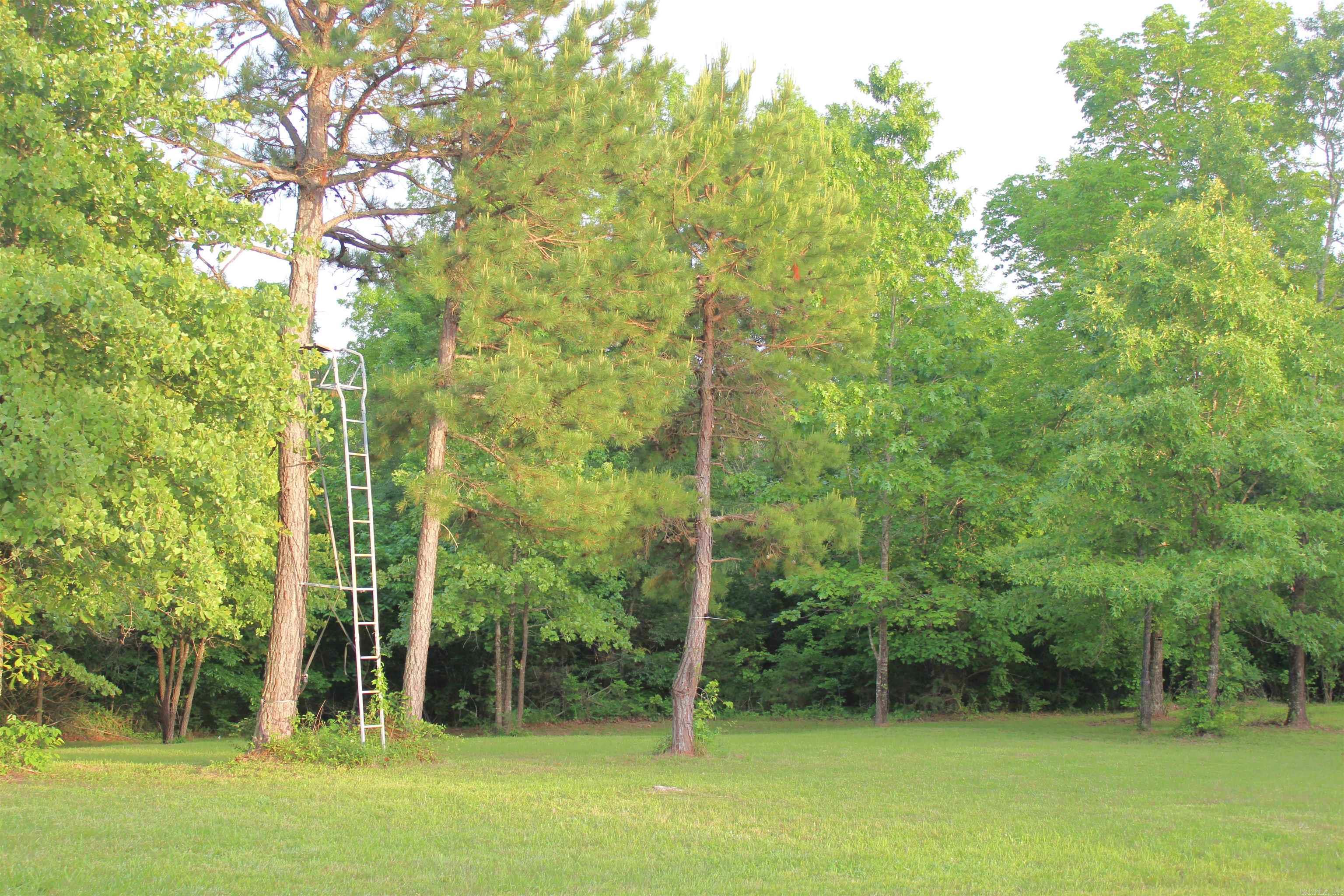 623 Batesville Mountain  Damascus, AR