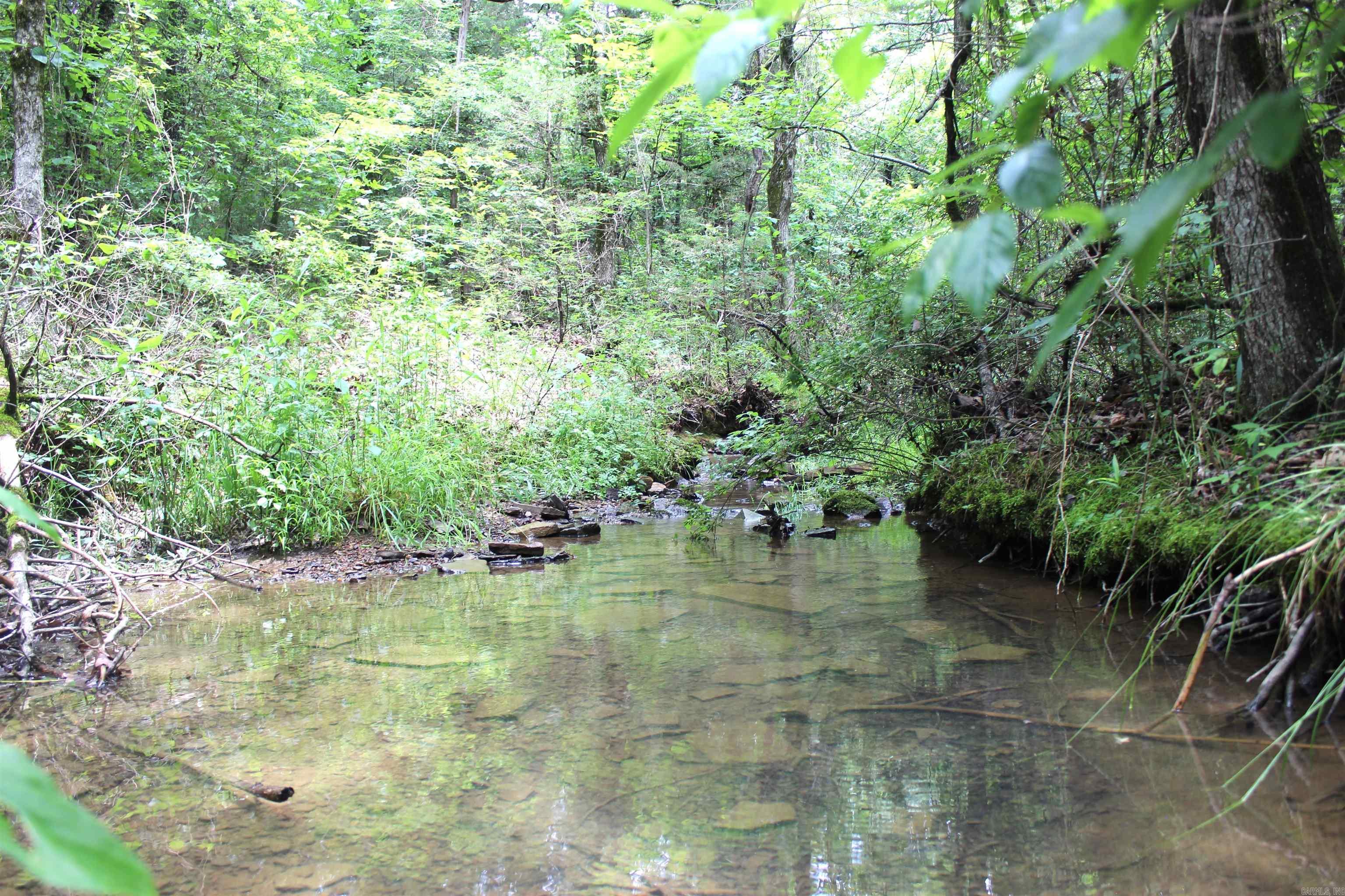 623  Batesville Mountain  Damascus, AR