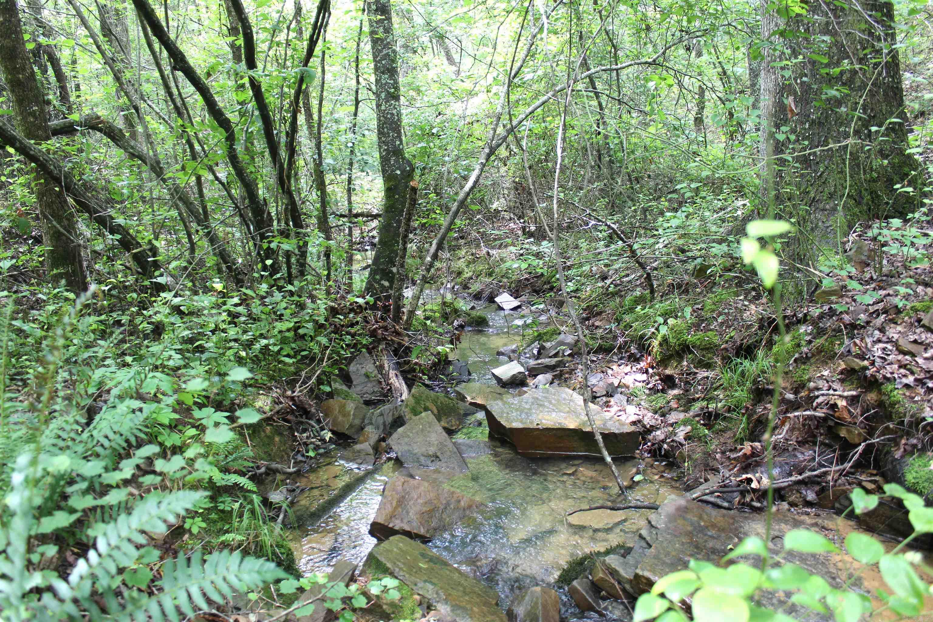 623 Batesville Mountain  Damascus, AR