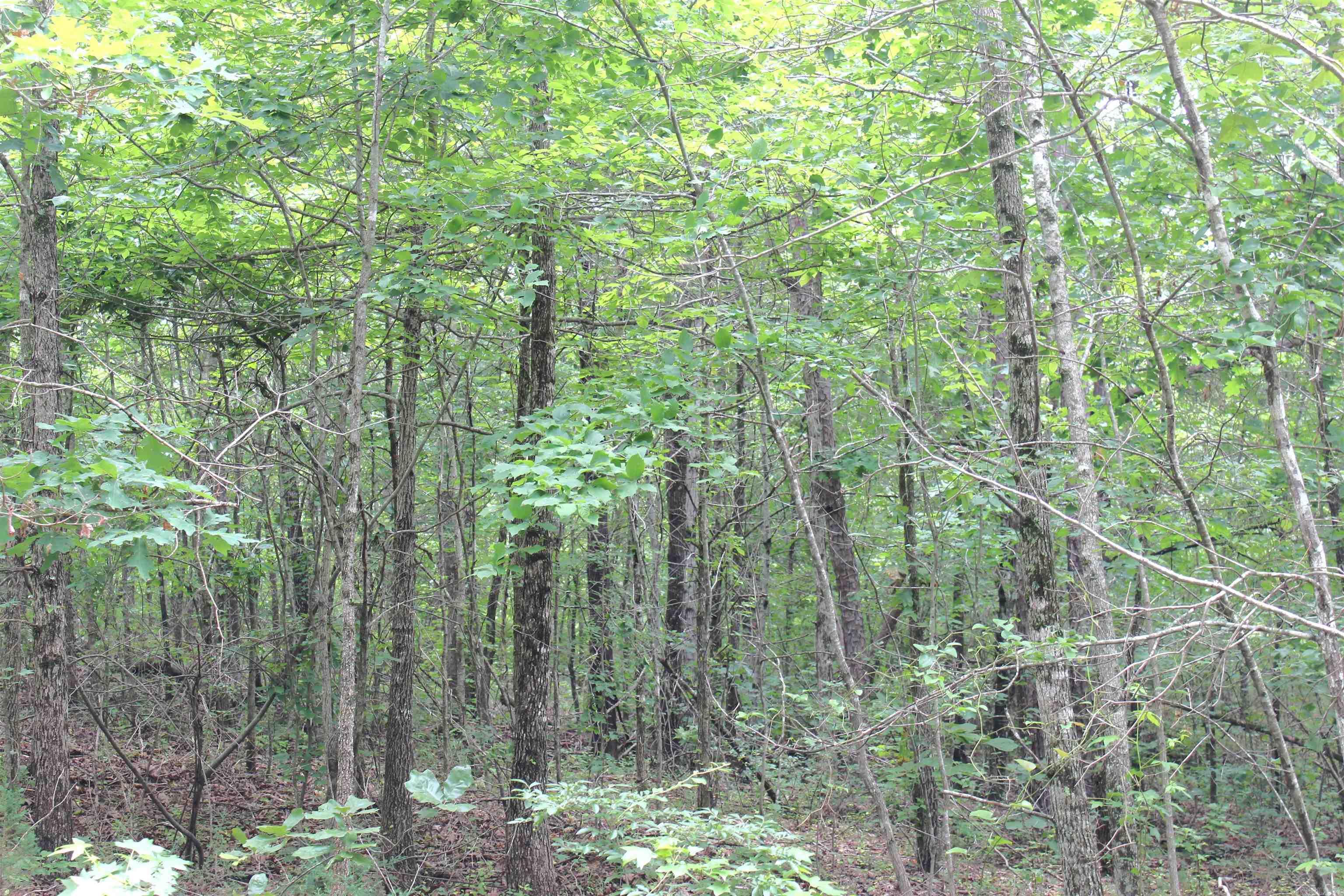 623  Batesville Mountain  Damascus, AR