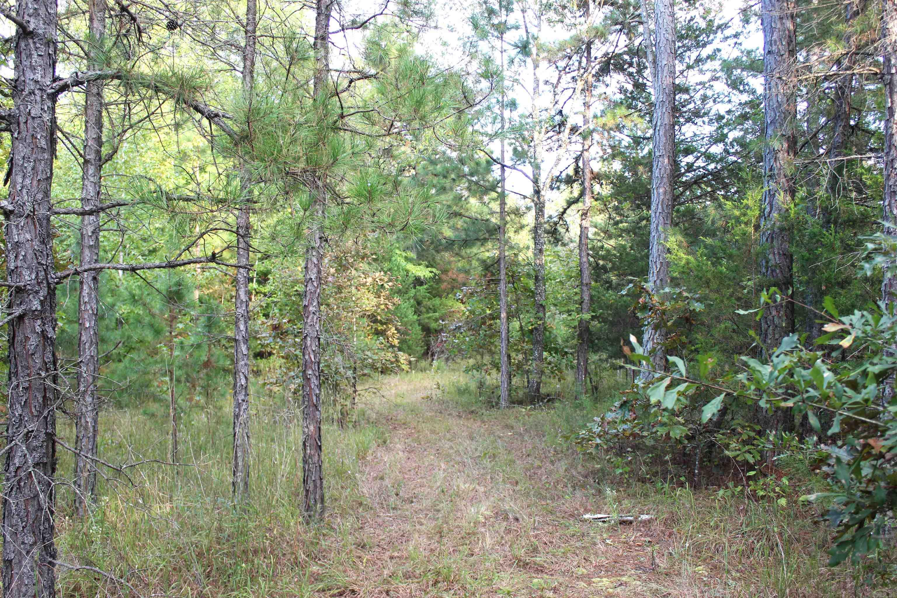 623 Batesville Mountain  Damascus, AR
