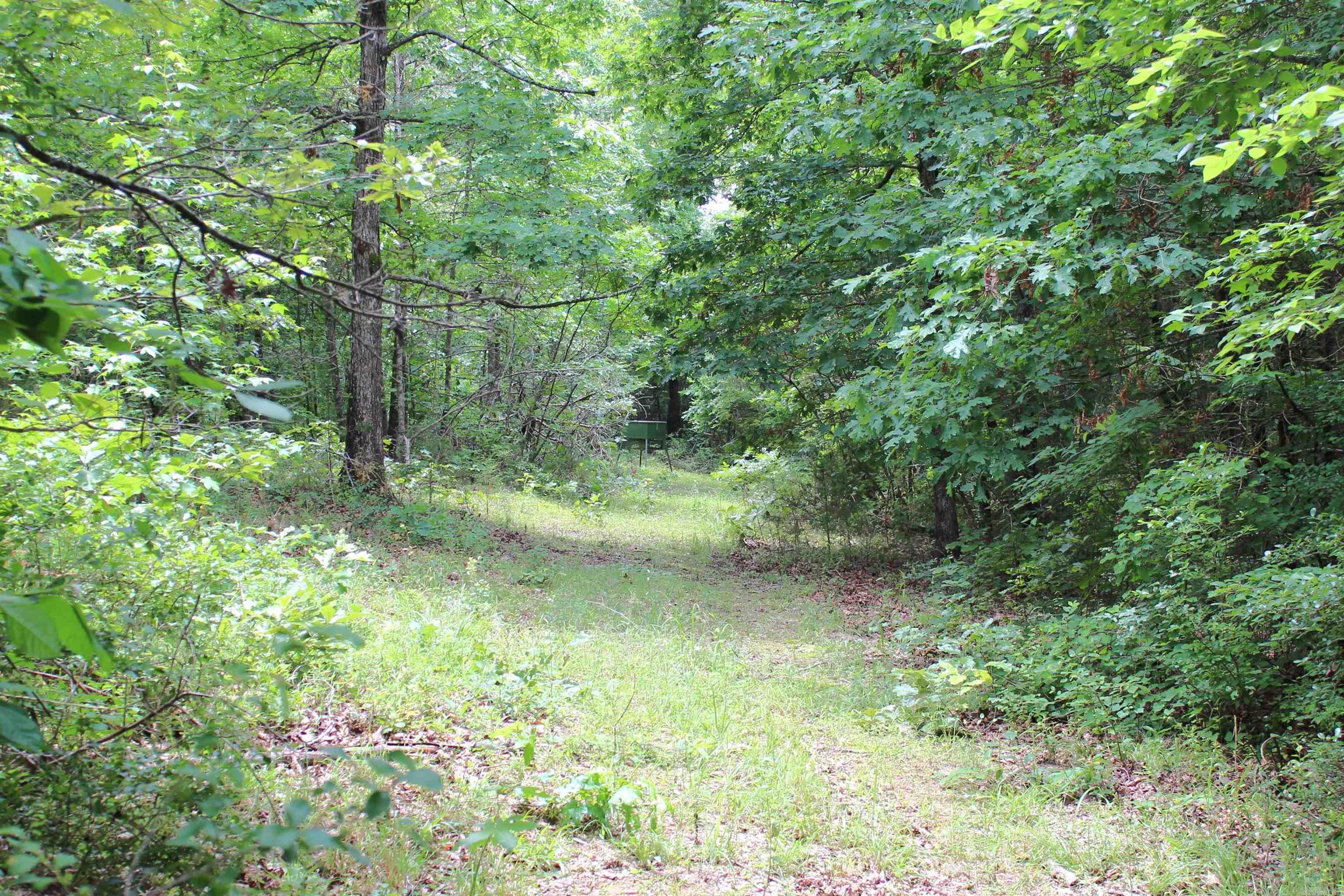 623  Batesville Mountain  Damascus, AR