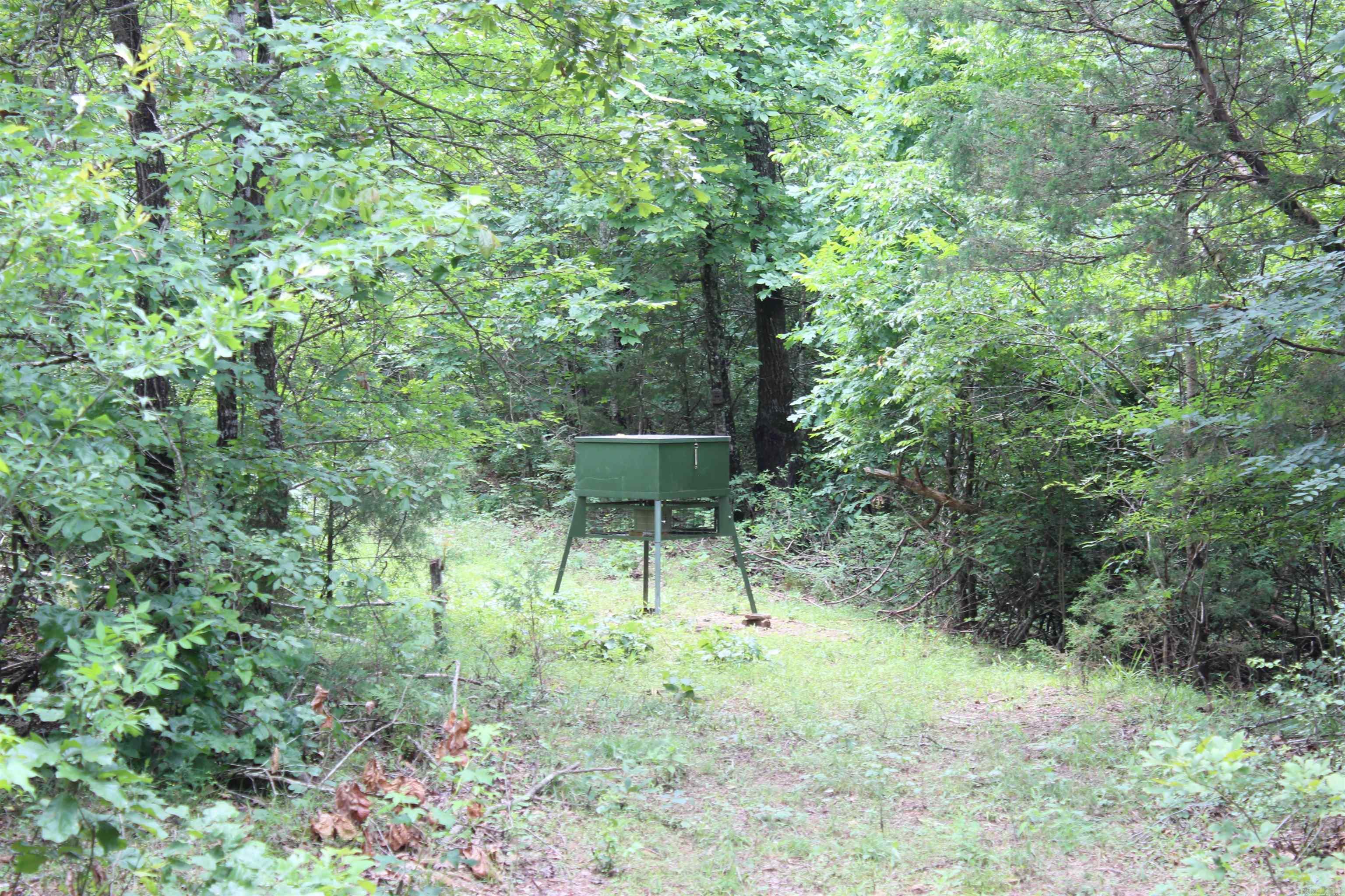 623  Batesville Mountain  Damascus, AR