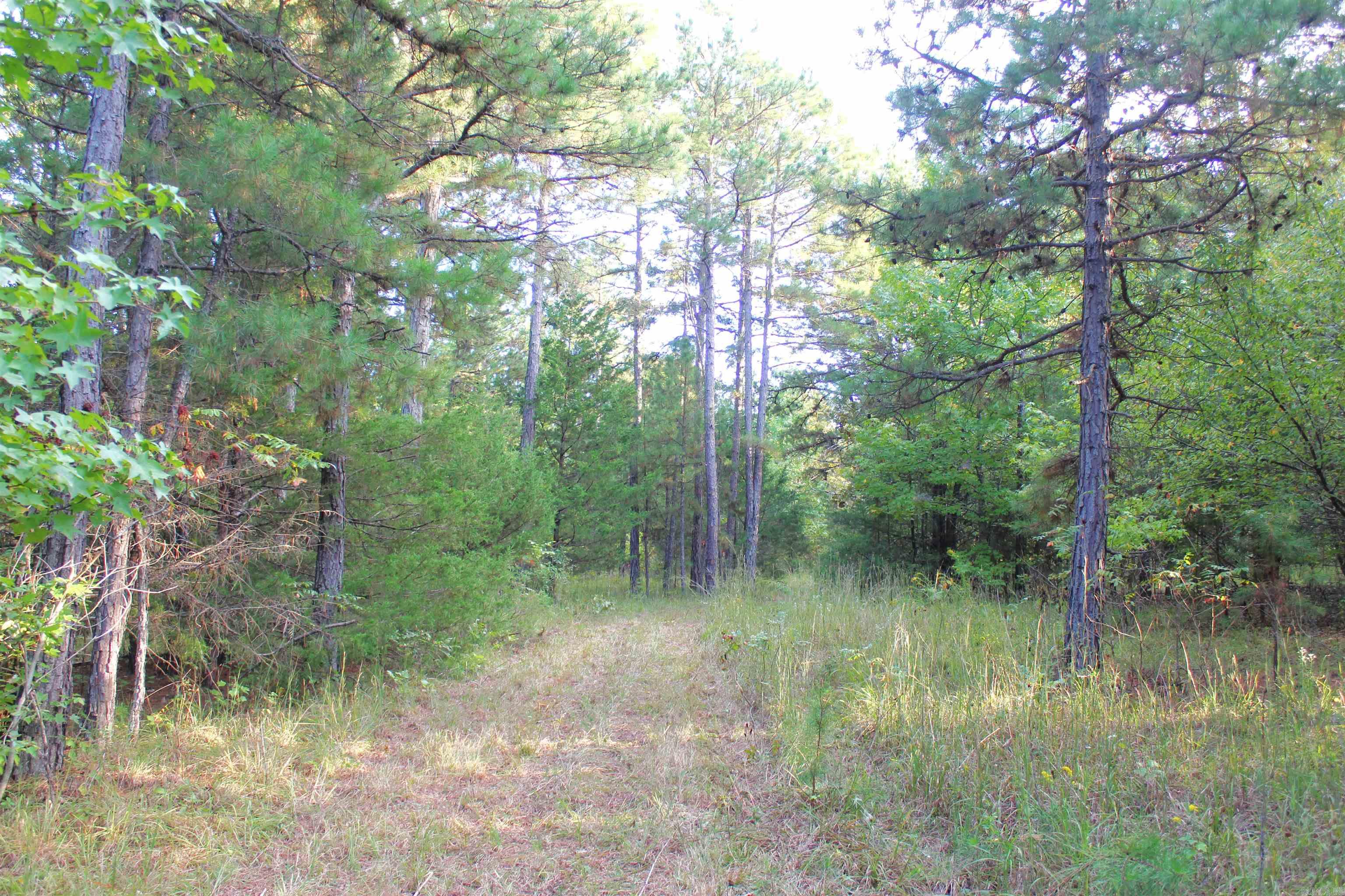 623 Batesville Mountain  Damascus, AR