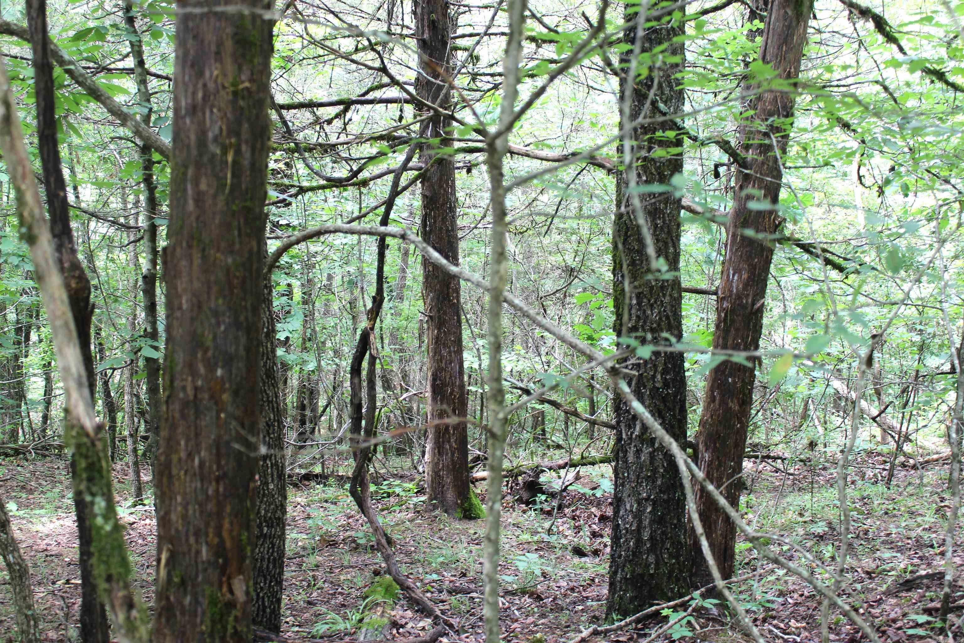 623  Batesville Mountain  Damascus, AR
