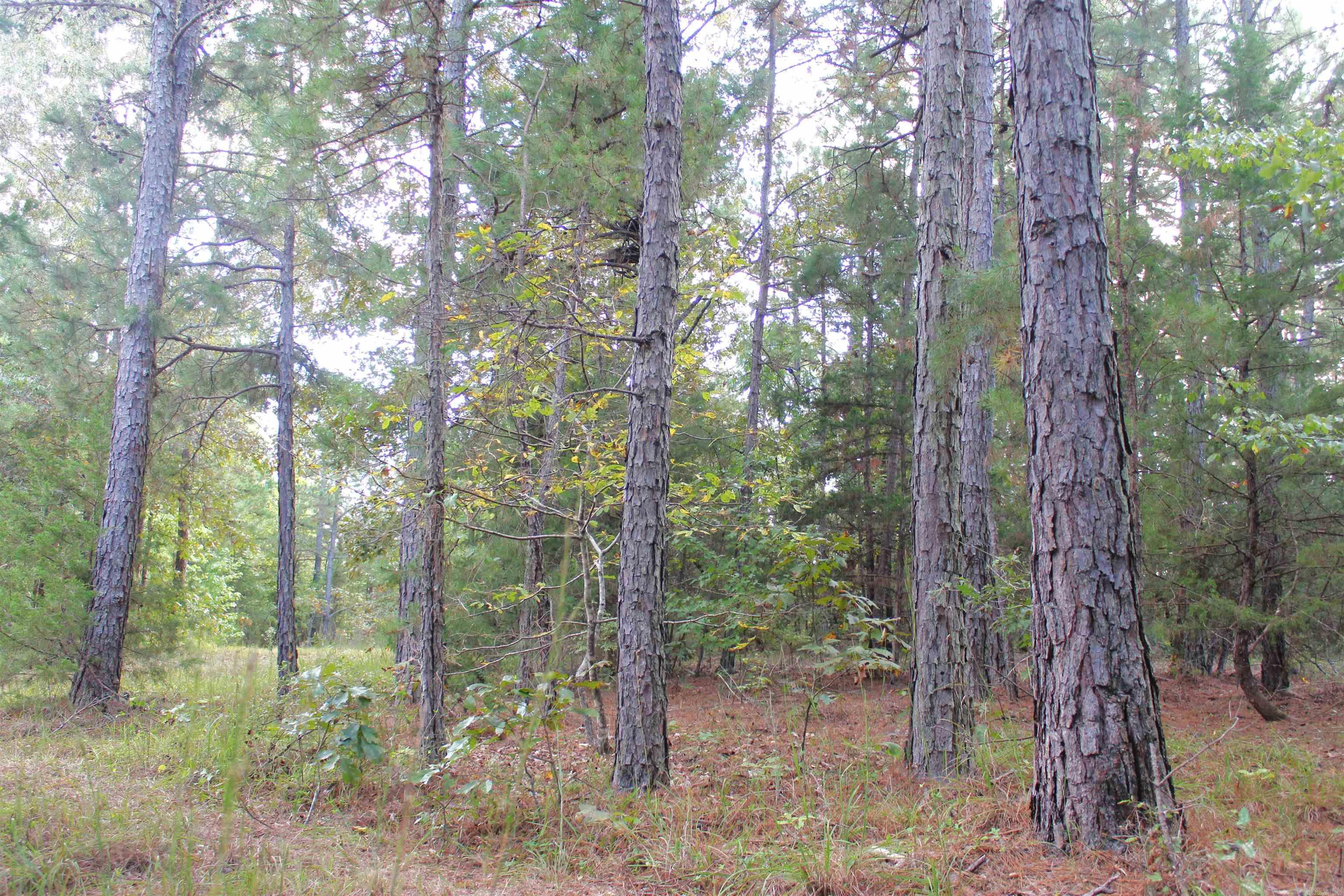 623 Batesville Mountain  Damascus, AR