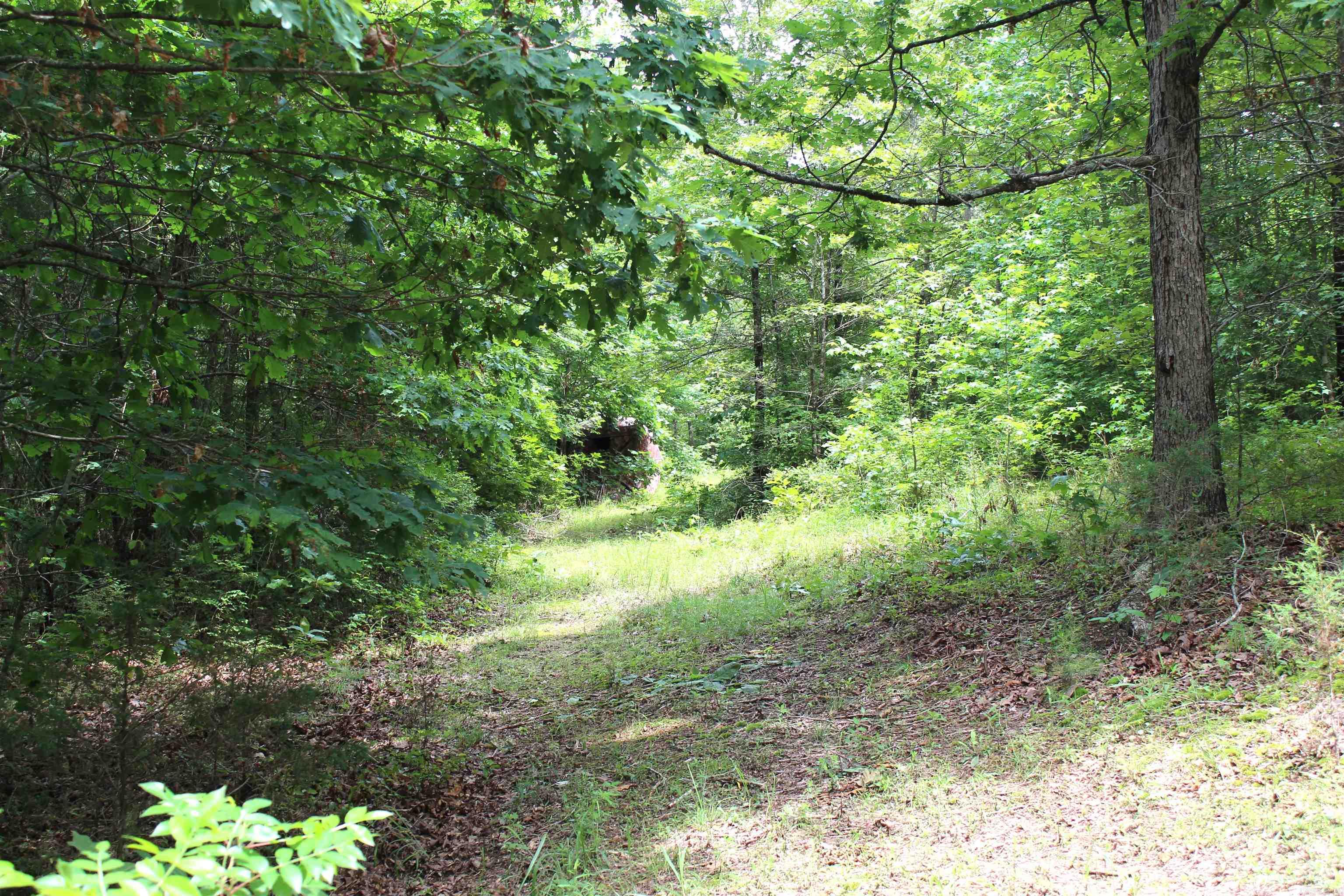 623  Batesville Mountain  Damascus, AR