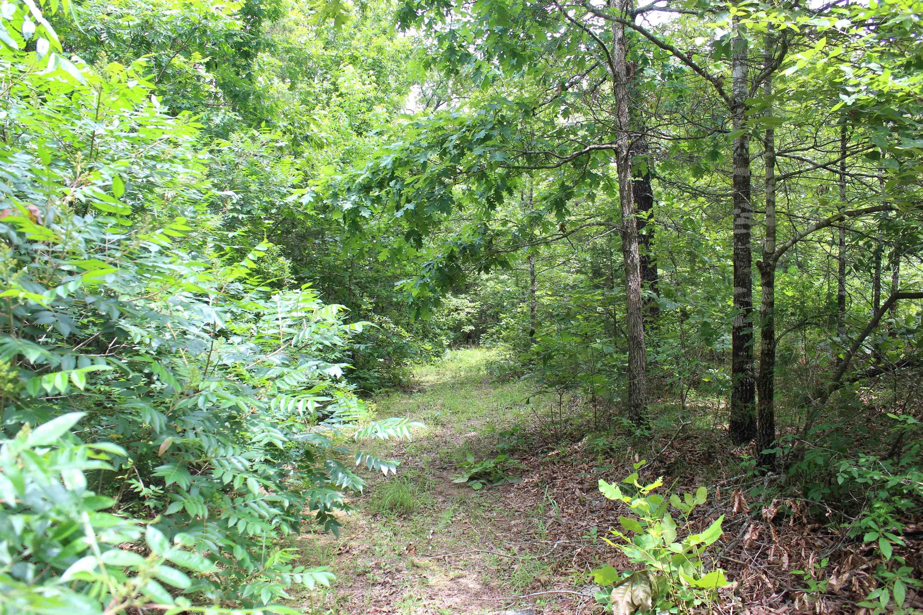 623  Batesville Mountain  Damascus, AR