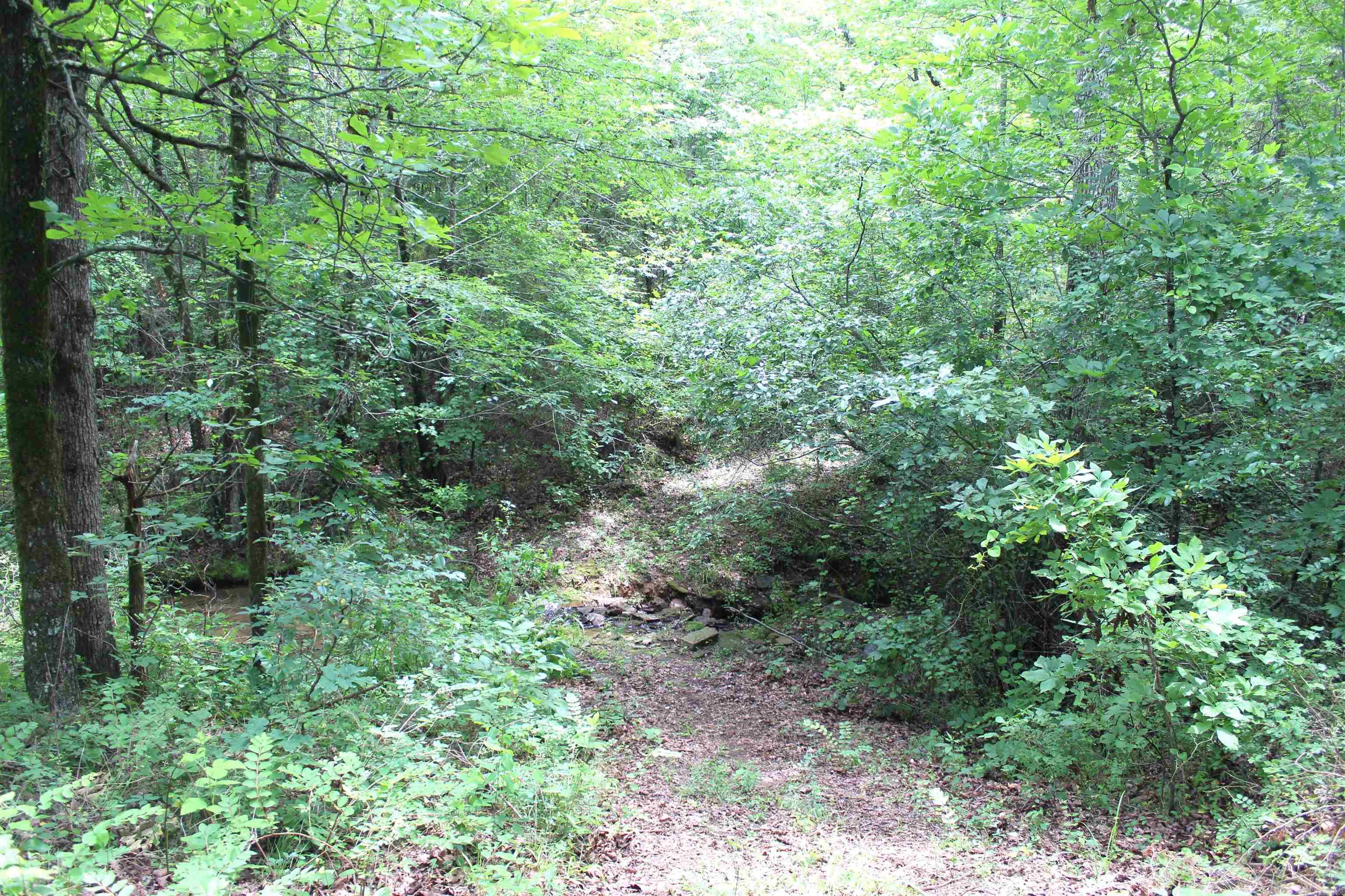 623  Batesville Mountain  Damascus, AR