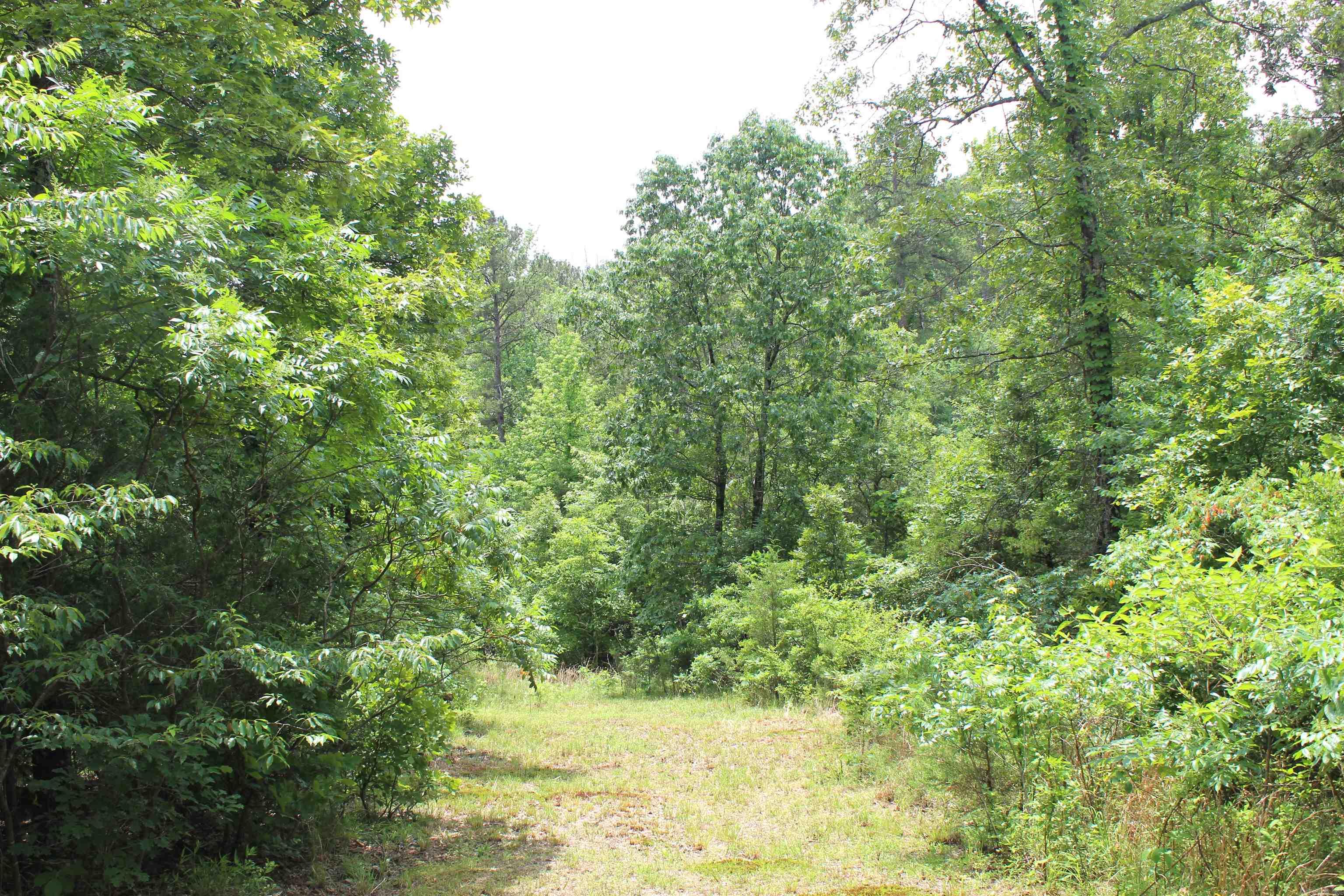 623  Batesville Mountain  Damascus, AR