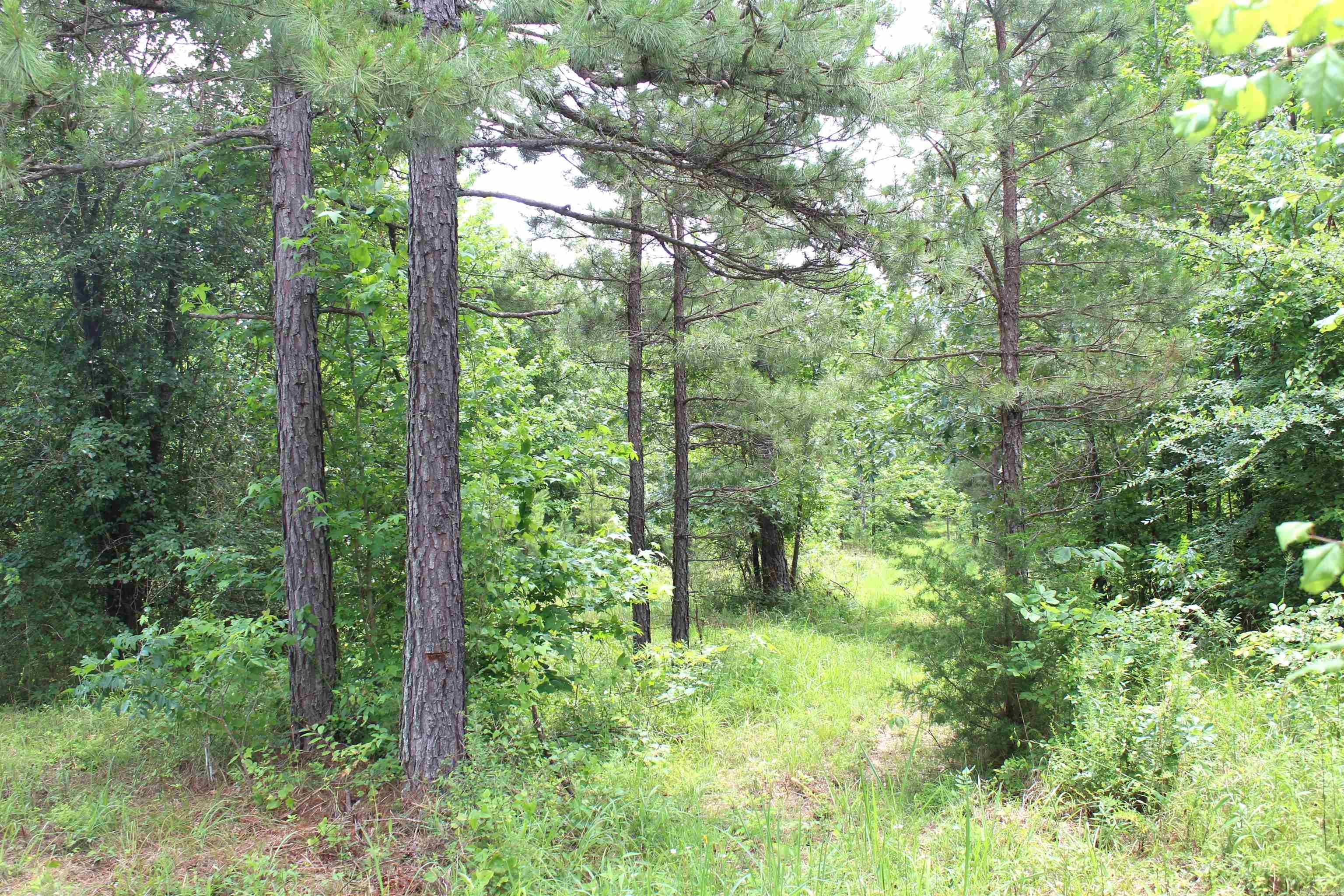 623  Batesville Mountain  Damascus, AR