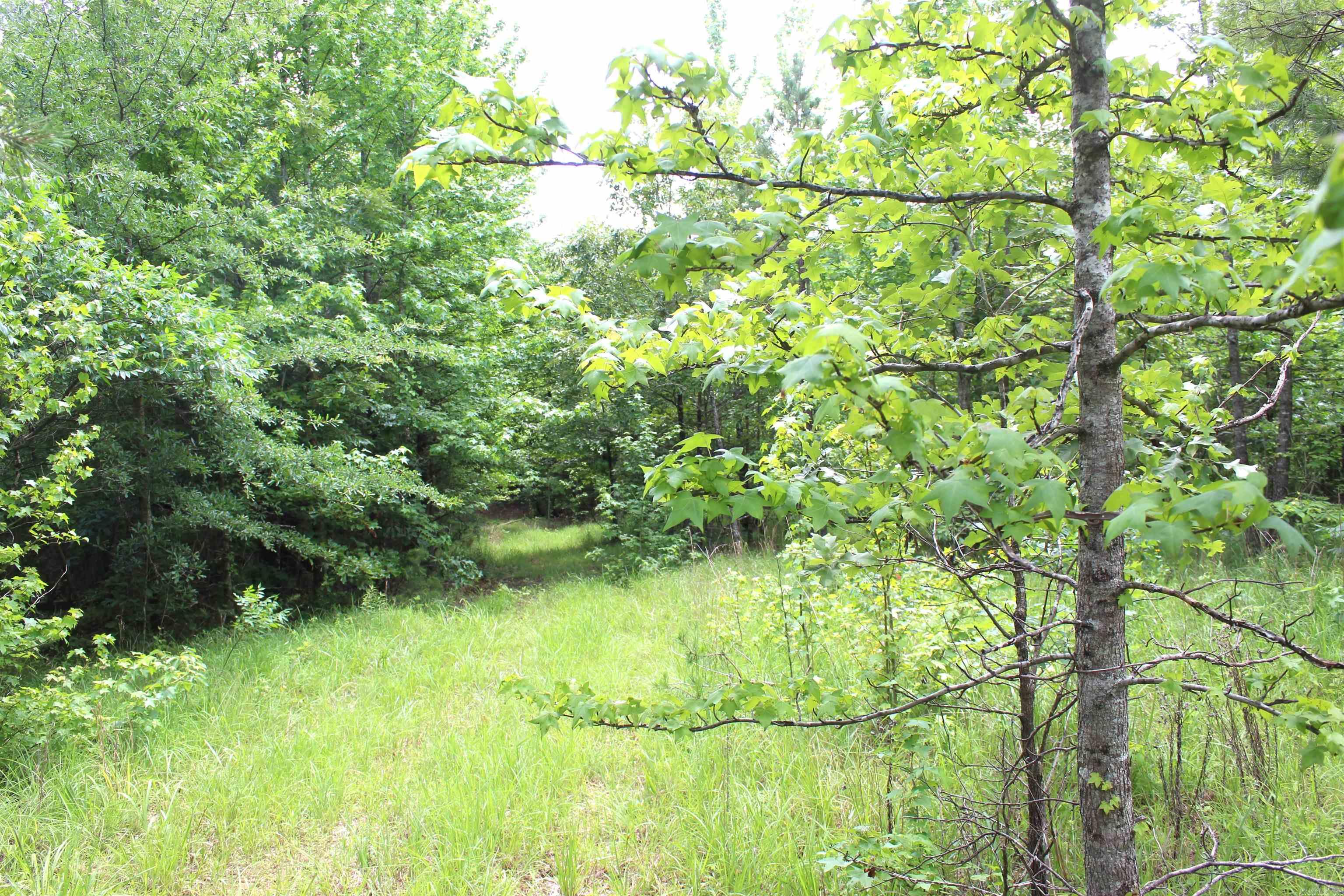 623 Batesville Mountain  Damascus, AR