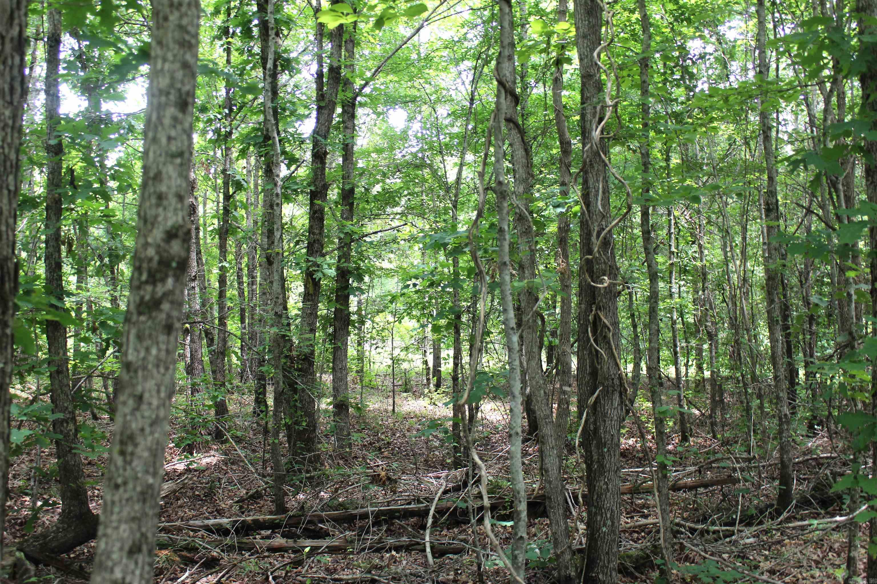 623  Batesville Mountain  Damascus, AR