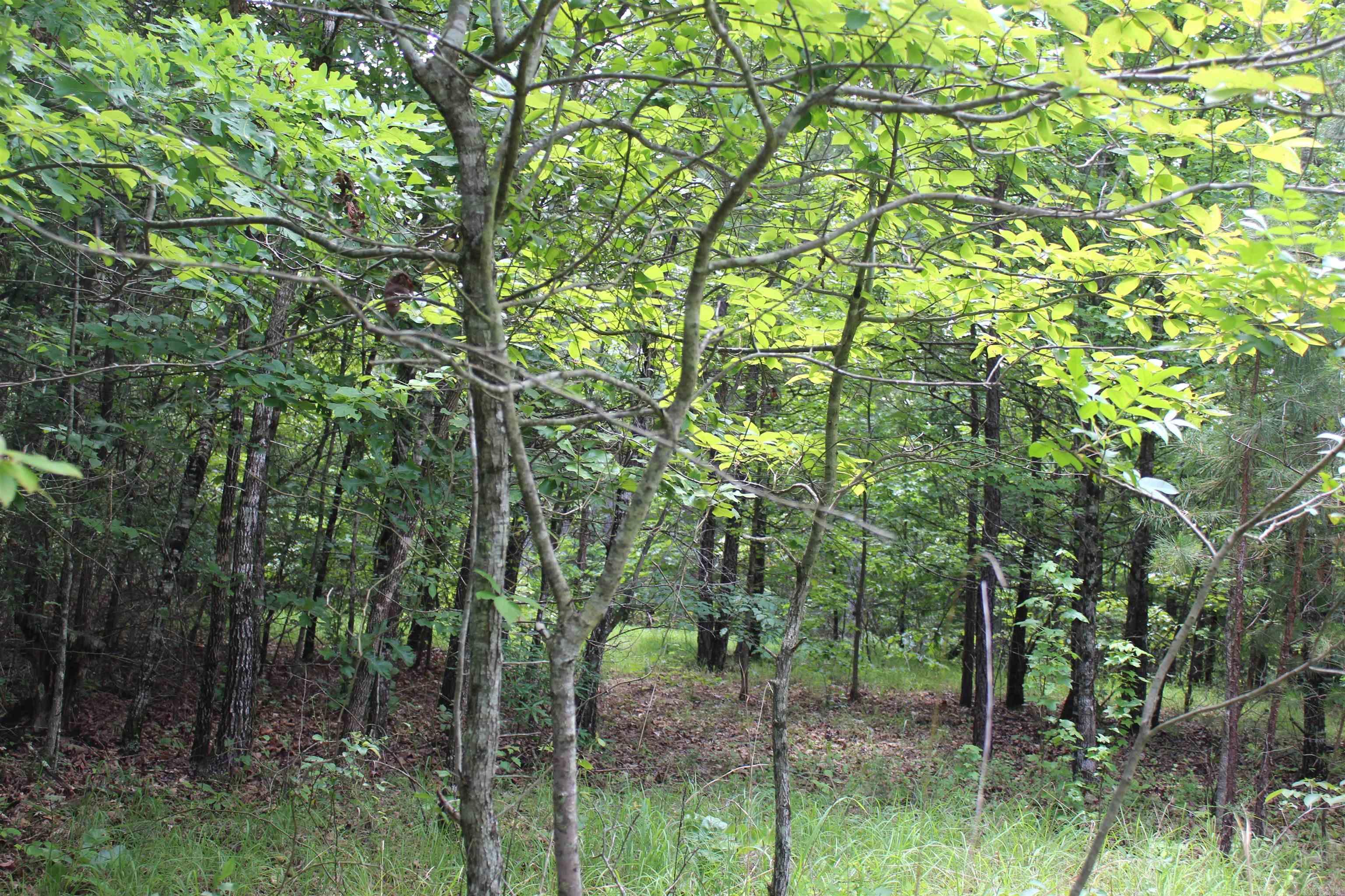 623 Batesville Mountain  Damascus, AR