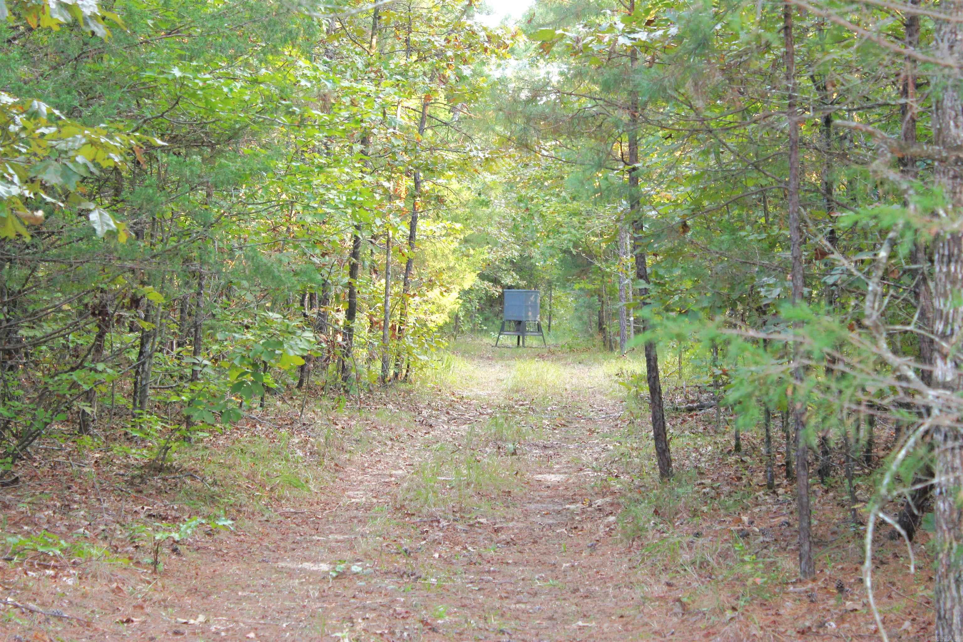 623 Batesville Mountain  Damascus, AR