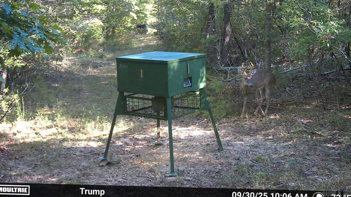 623 Batesville Mountain  Damascus, AR