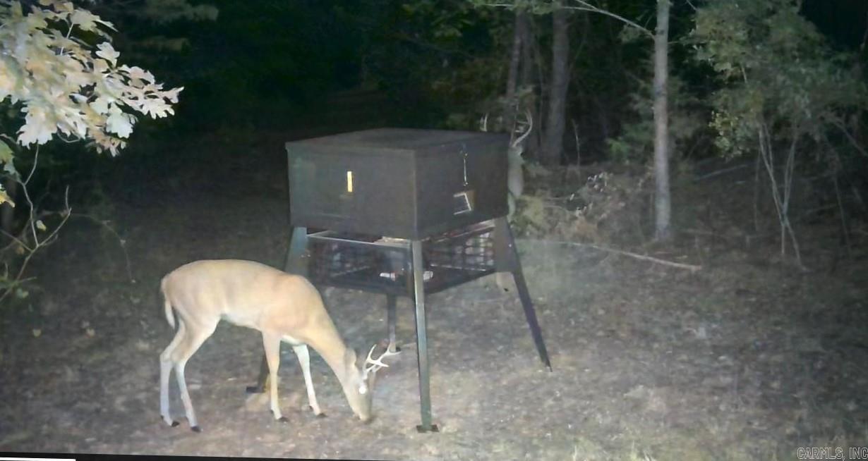 623 Batesville Mountain  Damascus, AR