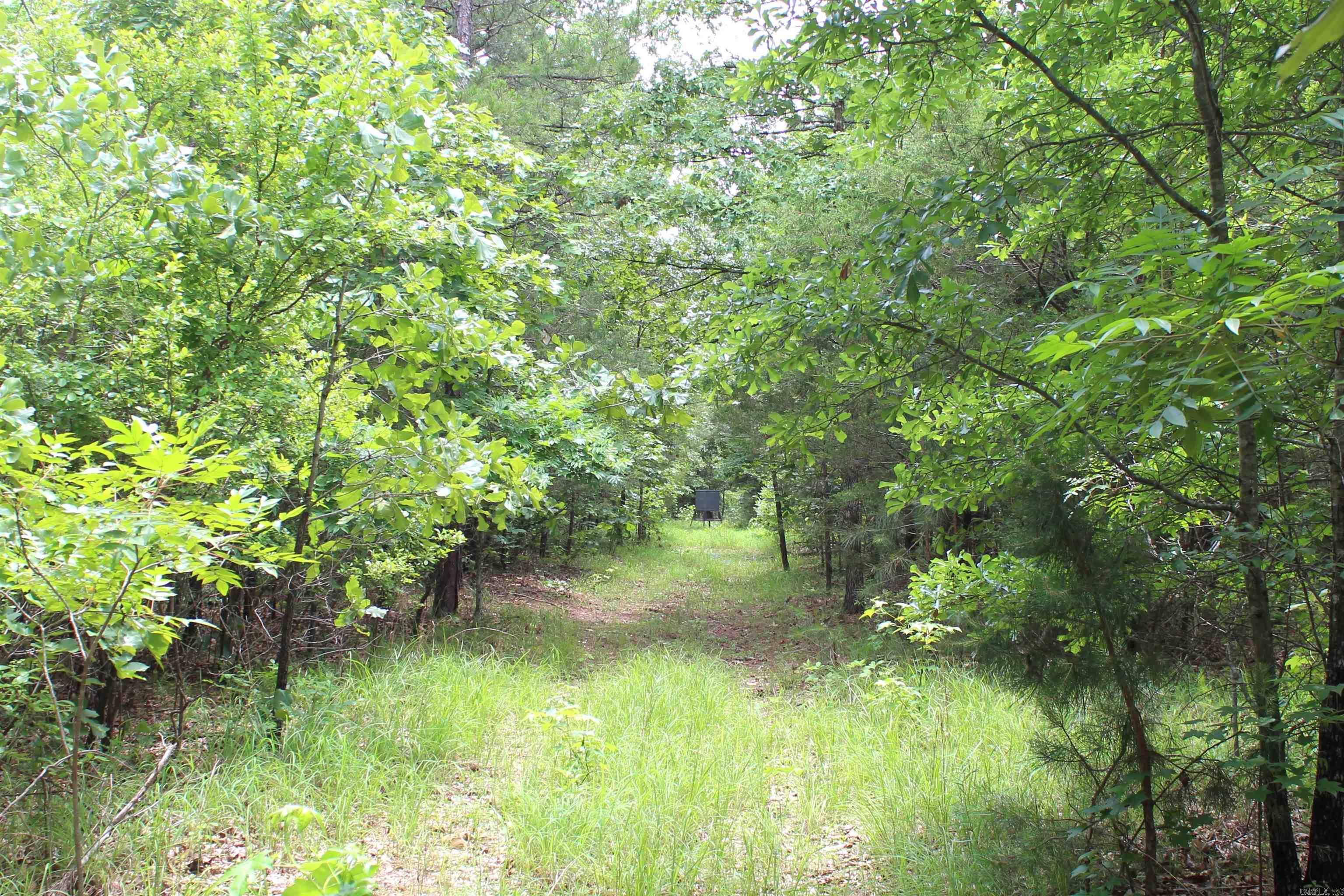 623  Batesville Mountain  Damascus, AR