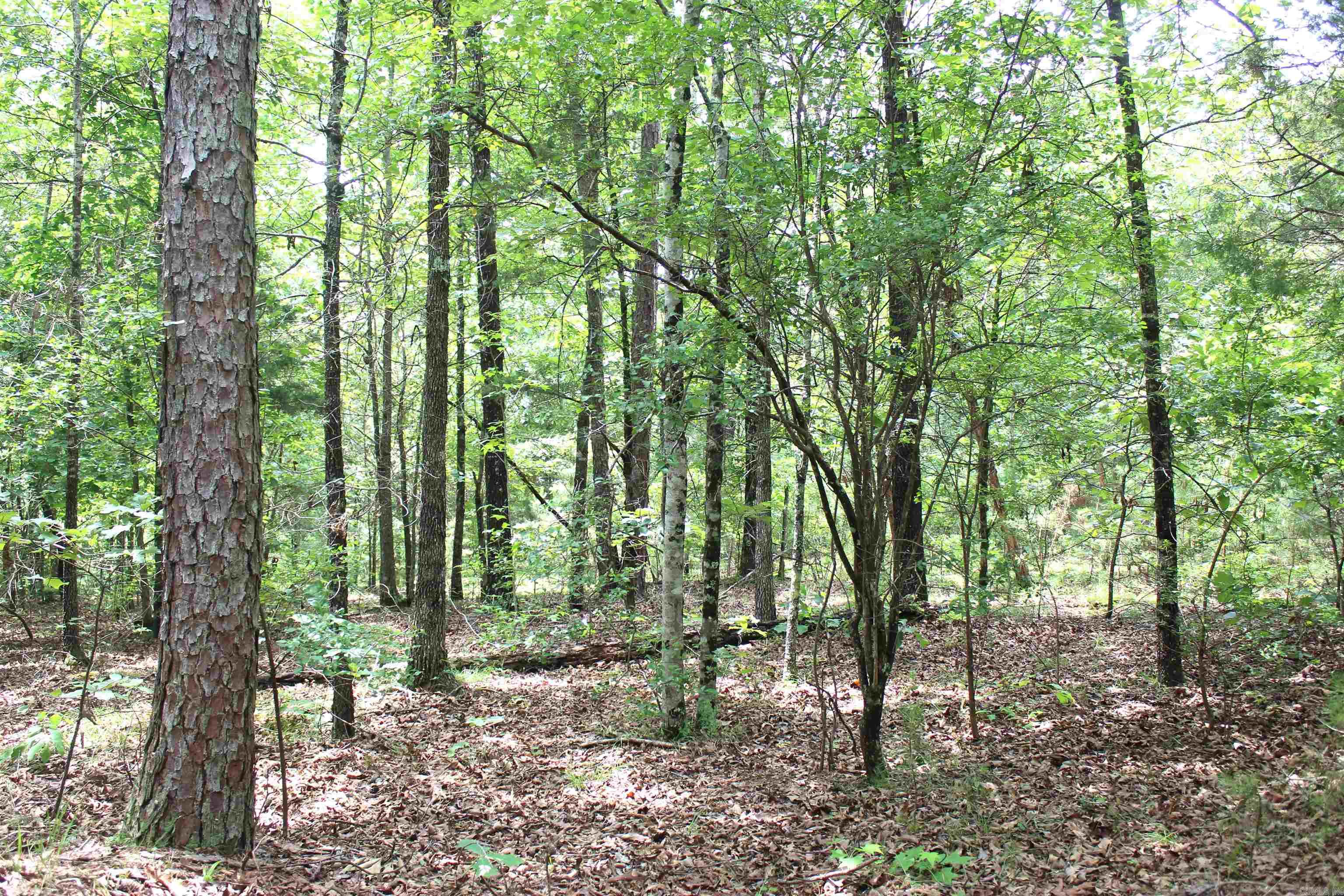 623 Batesville Mountain  Damascus, AR